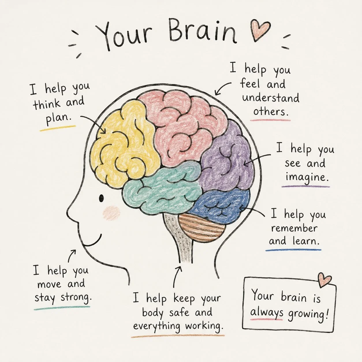 🧠 What if we taught children about their brains?

We spend so much time teaching children how to read, write, solve problems, and make friends.

But how often do we teach them about the incredible thing doing all of that learning?

Their brain.

Ima