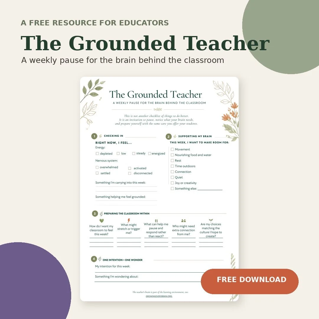 🌱A little gift for teachers.

Over the past few weeks, one idea has kept coming back to me, the teachers brain is part of the learning environment too.

We spend so much time thinking about what our students need, but I wonder how often we pause to 