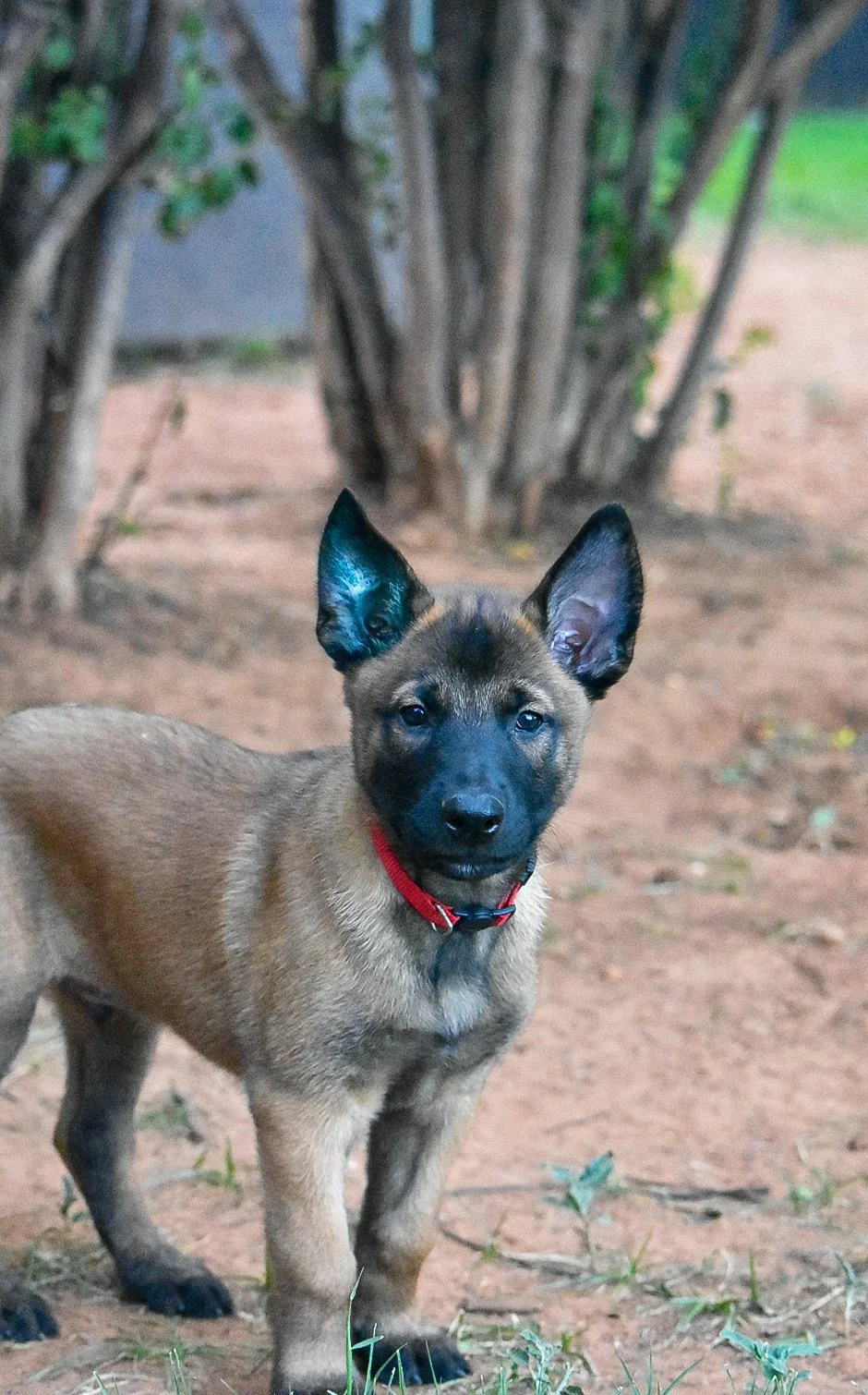 DSC_0648.JPG