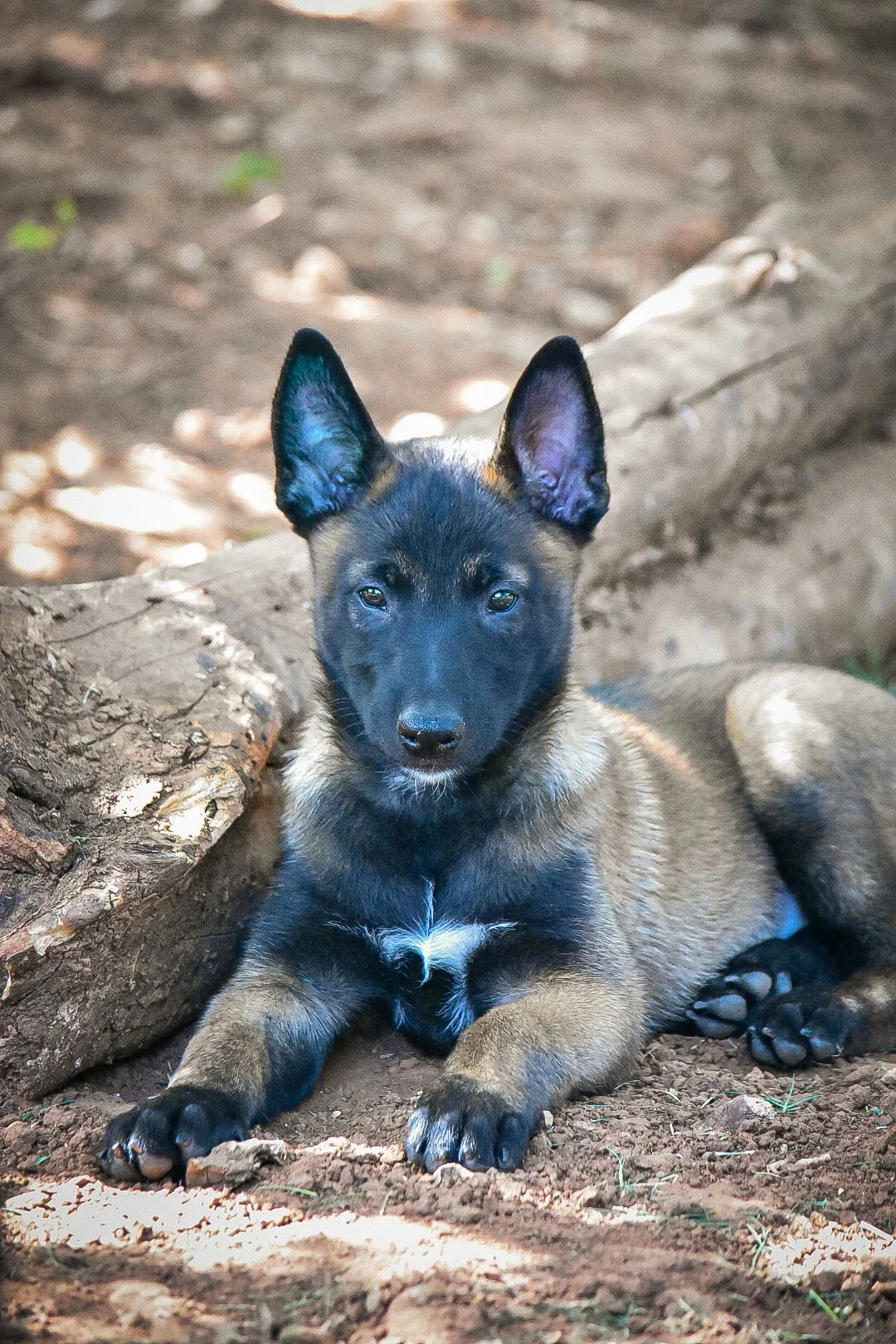 DSC_0762.JPG
