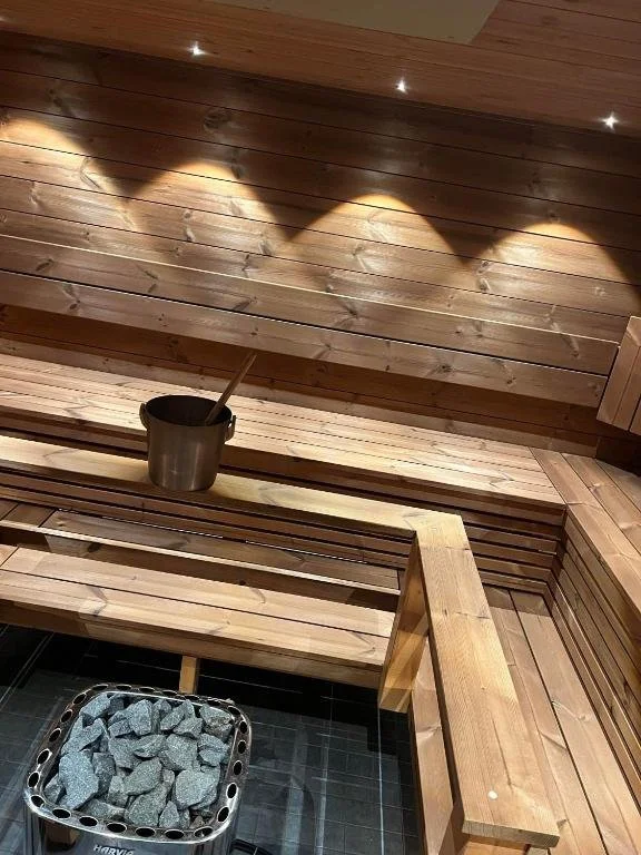 sauna (2).jpg