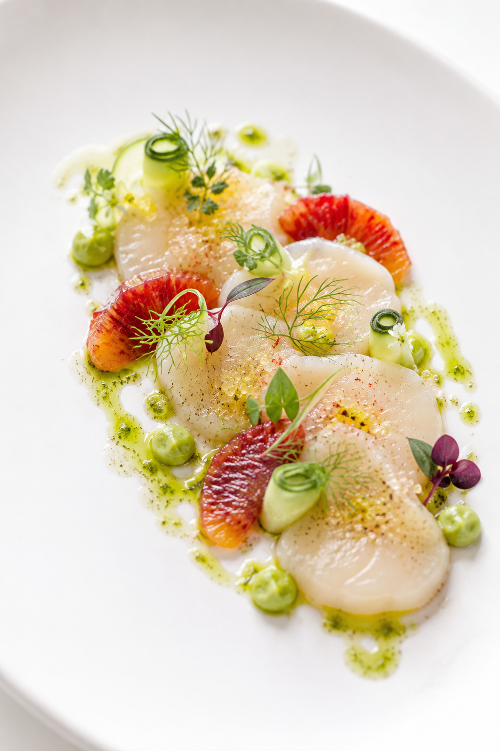 Scallop and  Citrus Crudo 