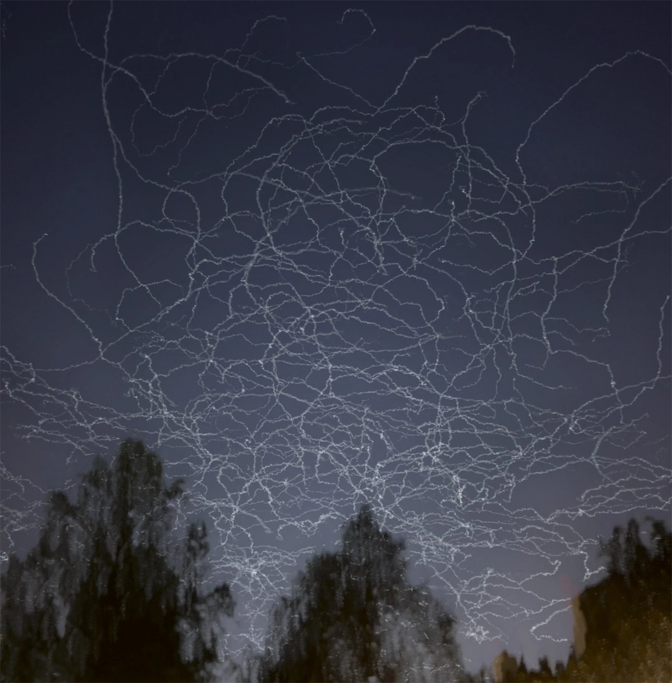 Along the Lines of Belonging #5