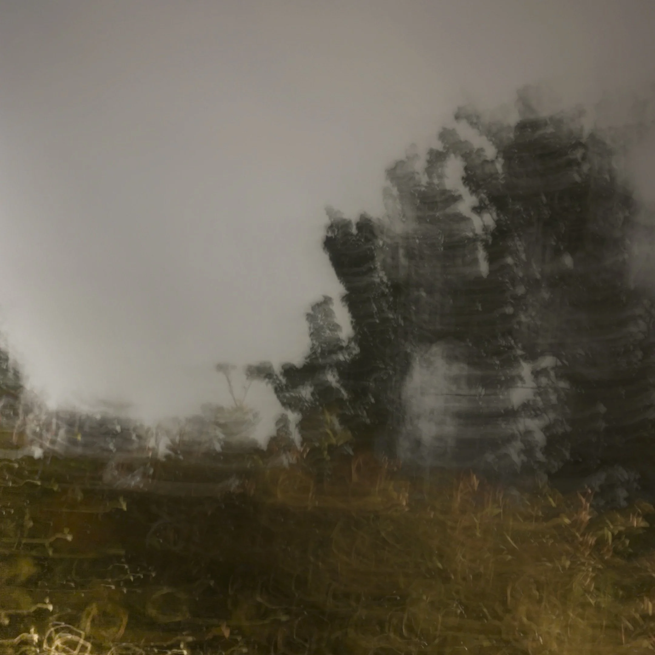 Along the Lines of Belonging #1