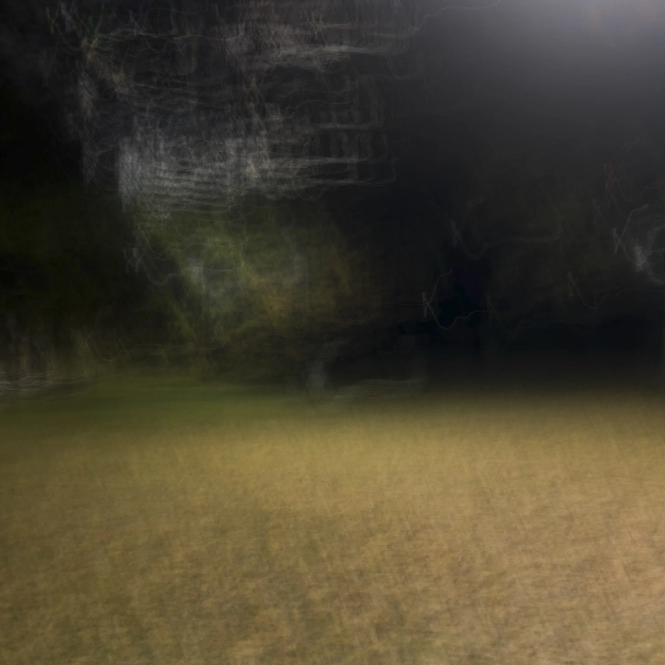 Along the Lines of Belonging #6