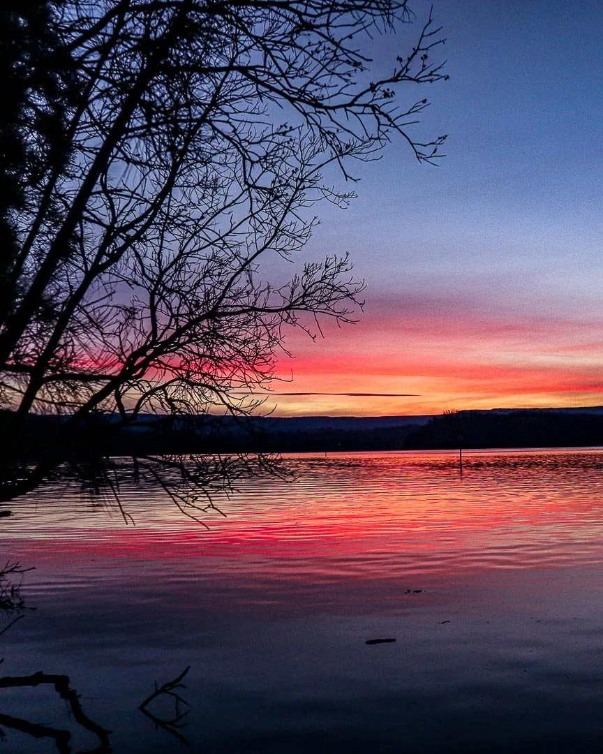 Silhouetted leafless tree branches over a lake at sunset with colorful pink, purple, and orange sky