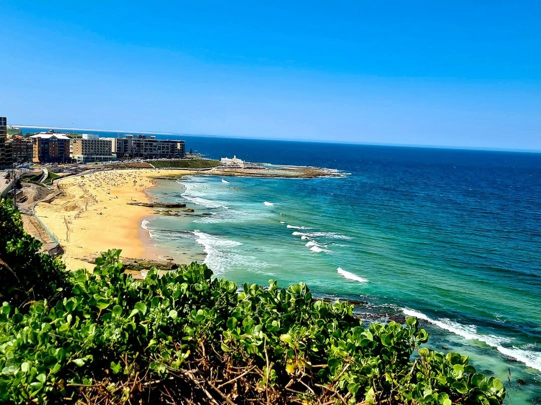 A scenic view of a beach with turquoise waters, a sandy shore, and green foliage in the foreground. There are modern buildings and a pier in the background under a clear blue sky.