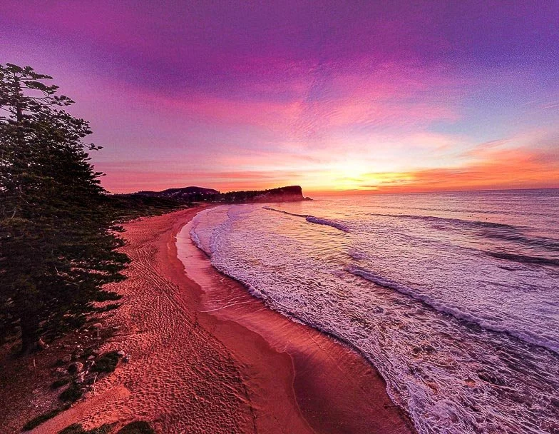 A colorful sunset over a quiet beach with pink and purple skies, ocean waves gently hitting the shore, and trees lining the left side.