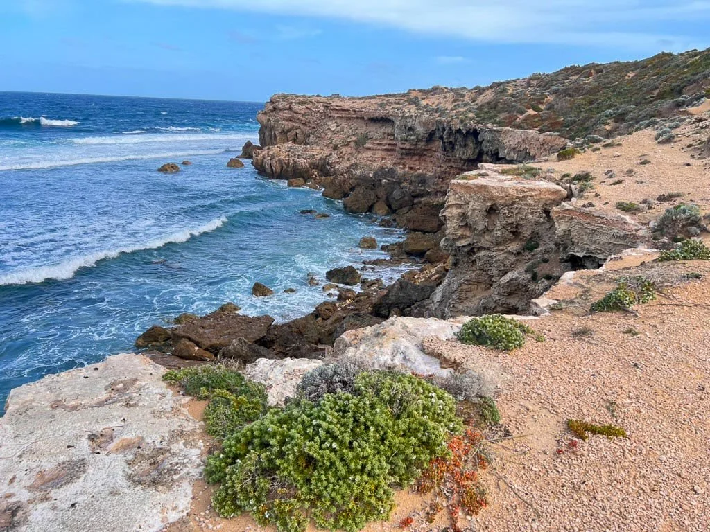 Cliffside view of the ocean with waves crashing against rocks and a sandy, shrub-covered hillside.