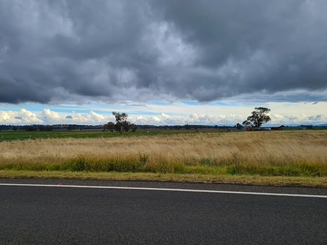 A rural landscape with a dark cloudy sky, grassy field, and trees in the distance, viewed from a roadside.