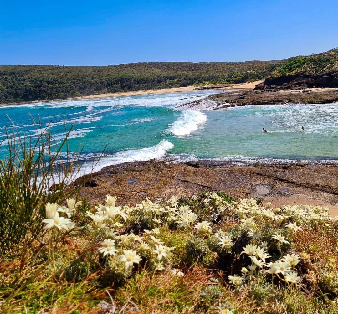 Beach scene with rocky shoreline, white flowers in foreground, green hill in background, and blue ocean waves with surfers.