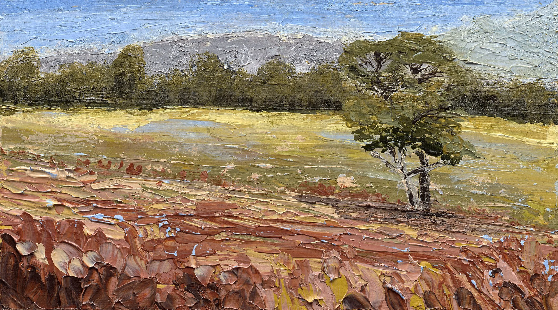 Sunbaked Earth
12.7 x 22.9 cm (9 X 5 ")
Acrylic on MDF Wood Panel (Palette Knife)
2026