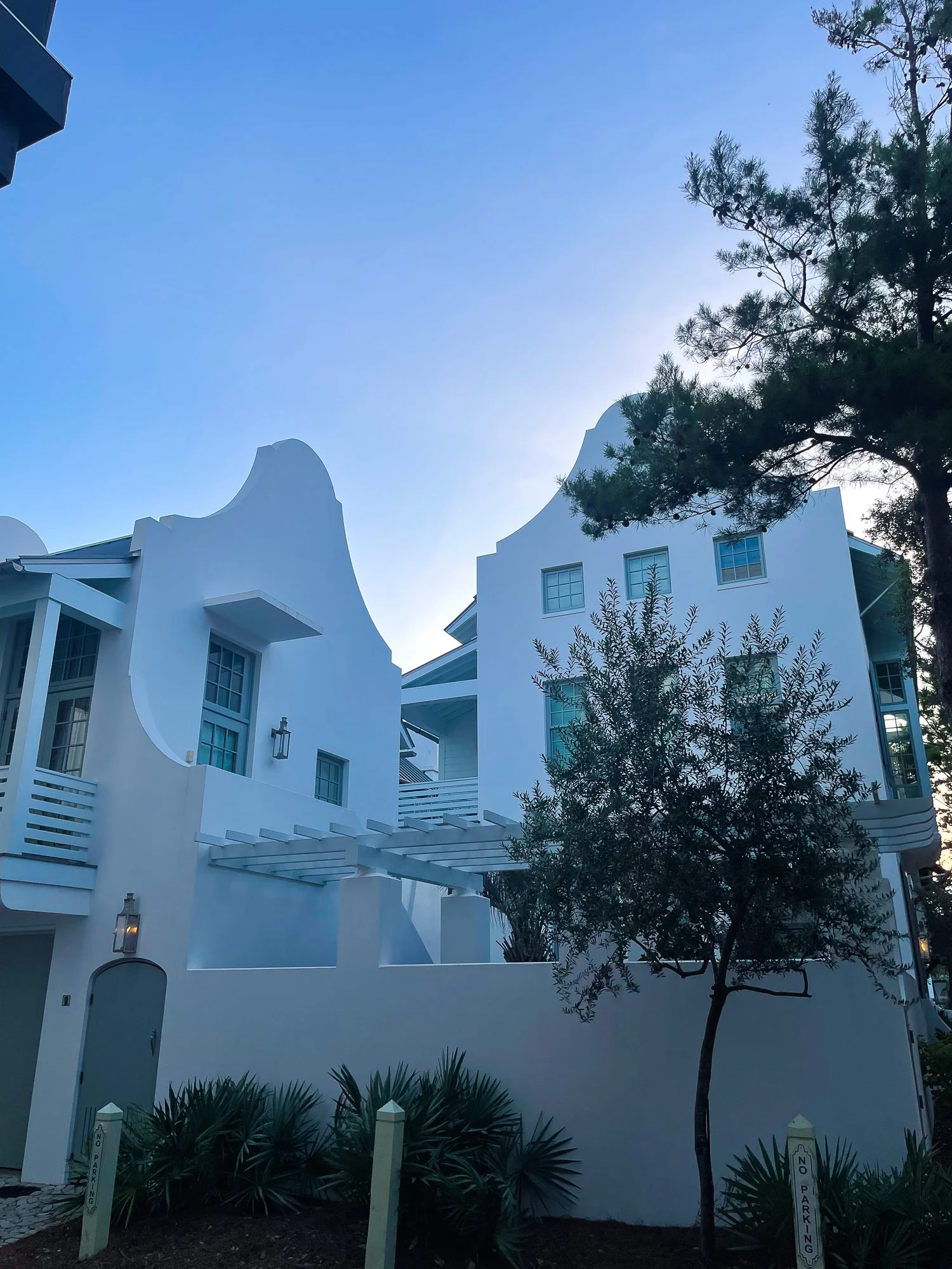 White modern buildings with curved roofs, a tall tree, and desert plants in front, under a clear blue sky.