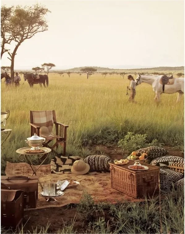 A picnic setup on grass with various pillows, a blanket, and food, overlooking a savannah with a person with horses and other animals grazing in the background.