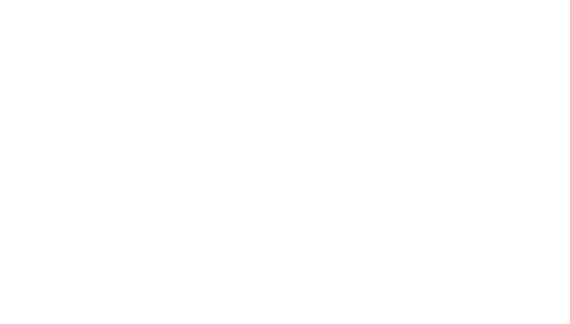 Text saying 'Compatible with Torque Borg'.