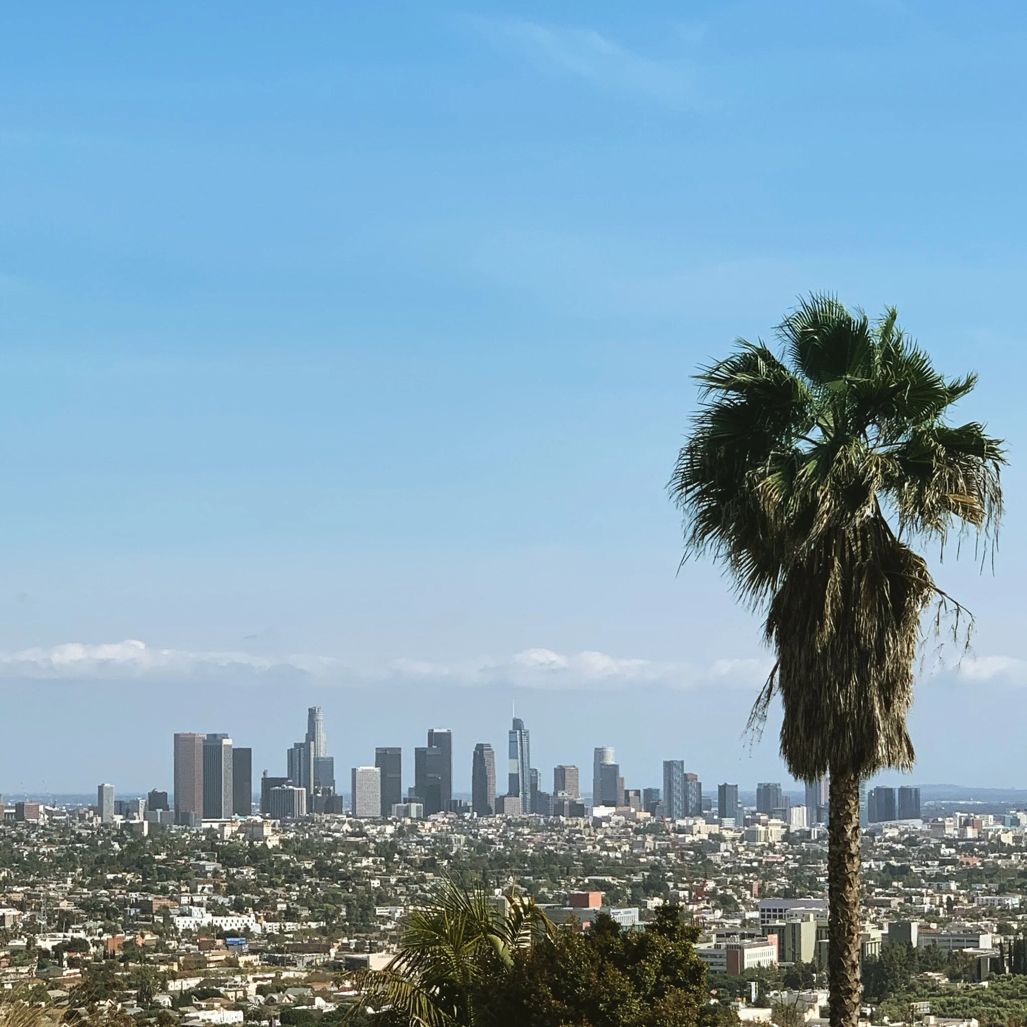 Los Angeles cityscape