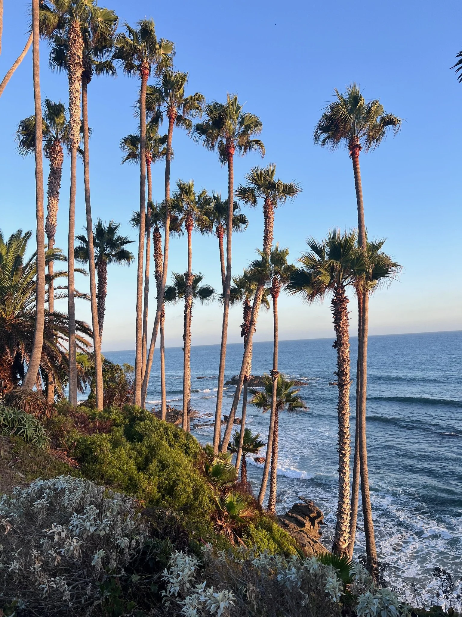 Dana Point Harbor in Coastal Orange County