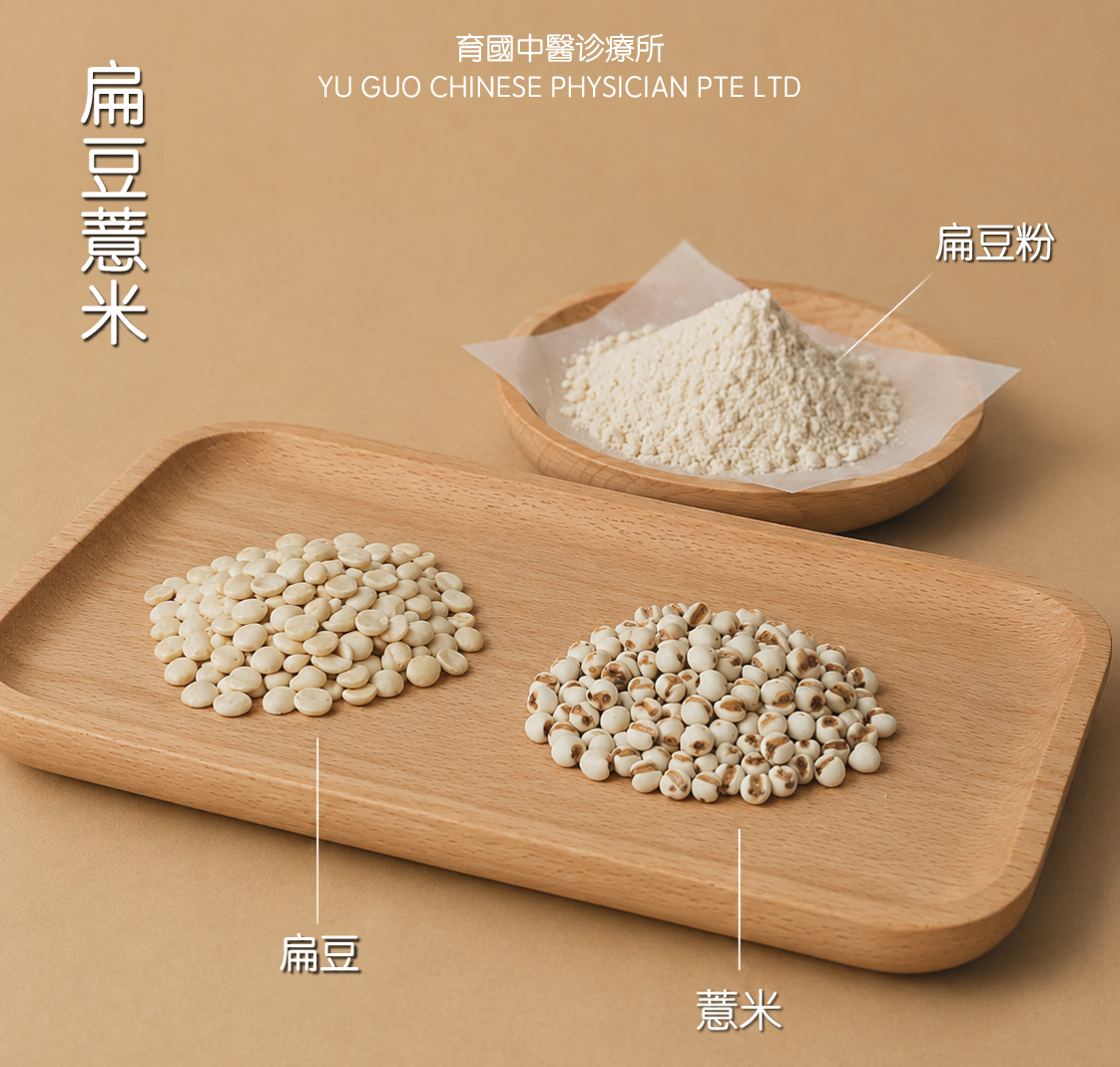 扁豆薏米｜Barley Water