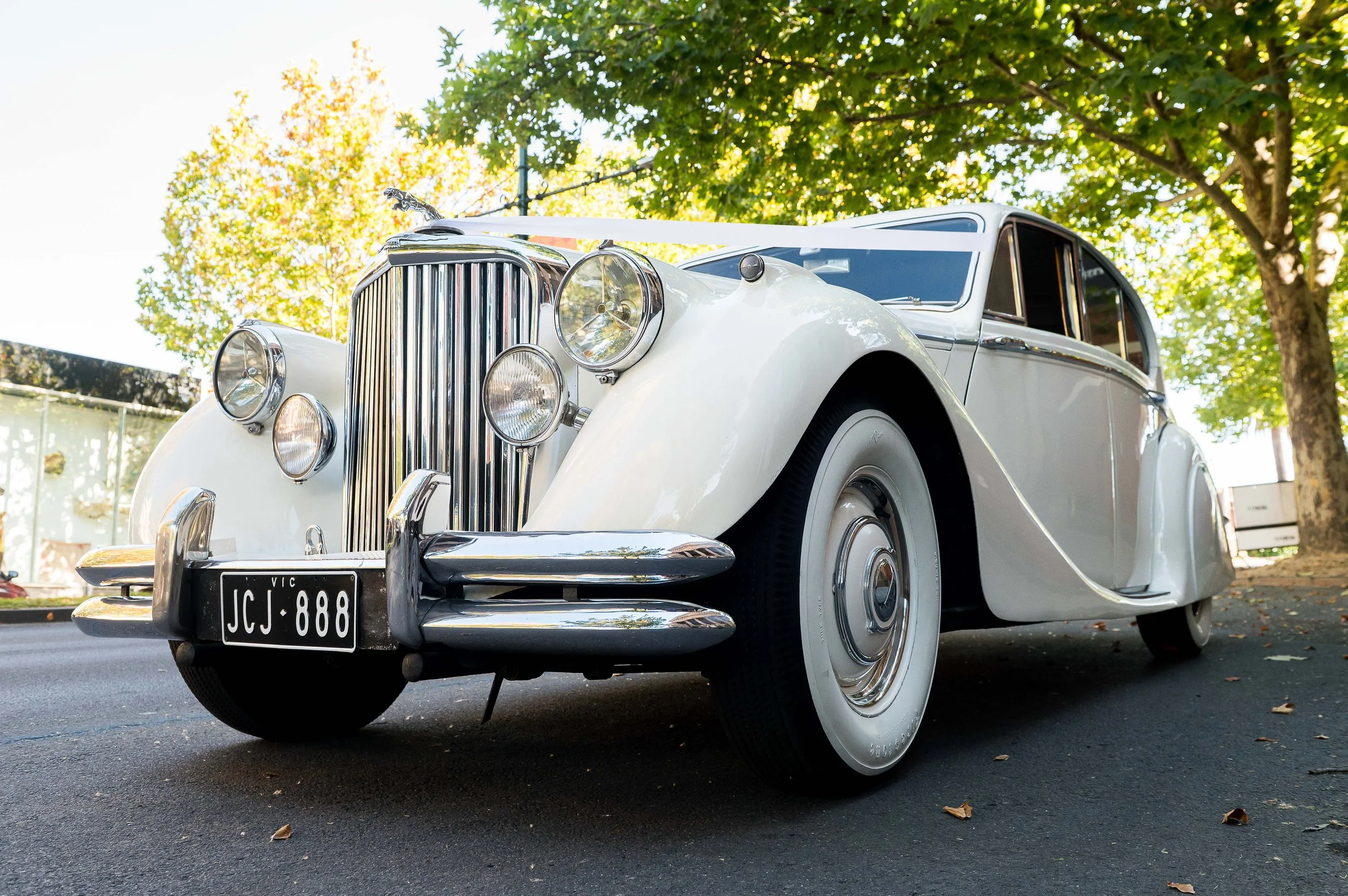Florence_Automotive_2026-247.jpg