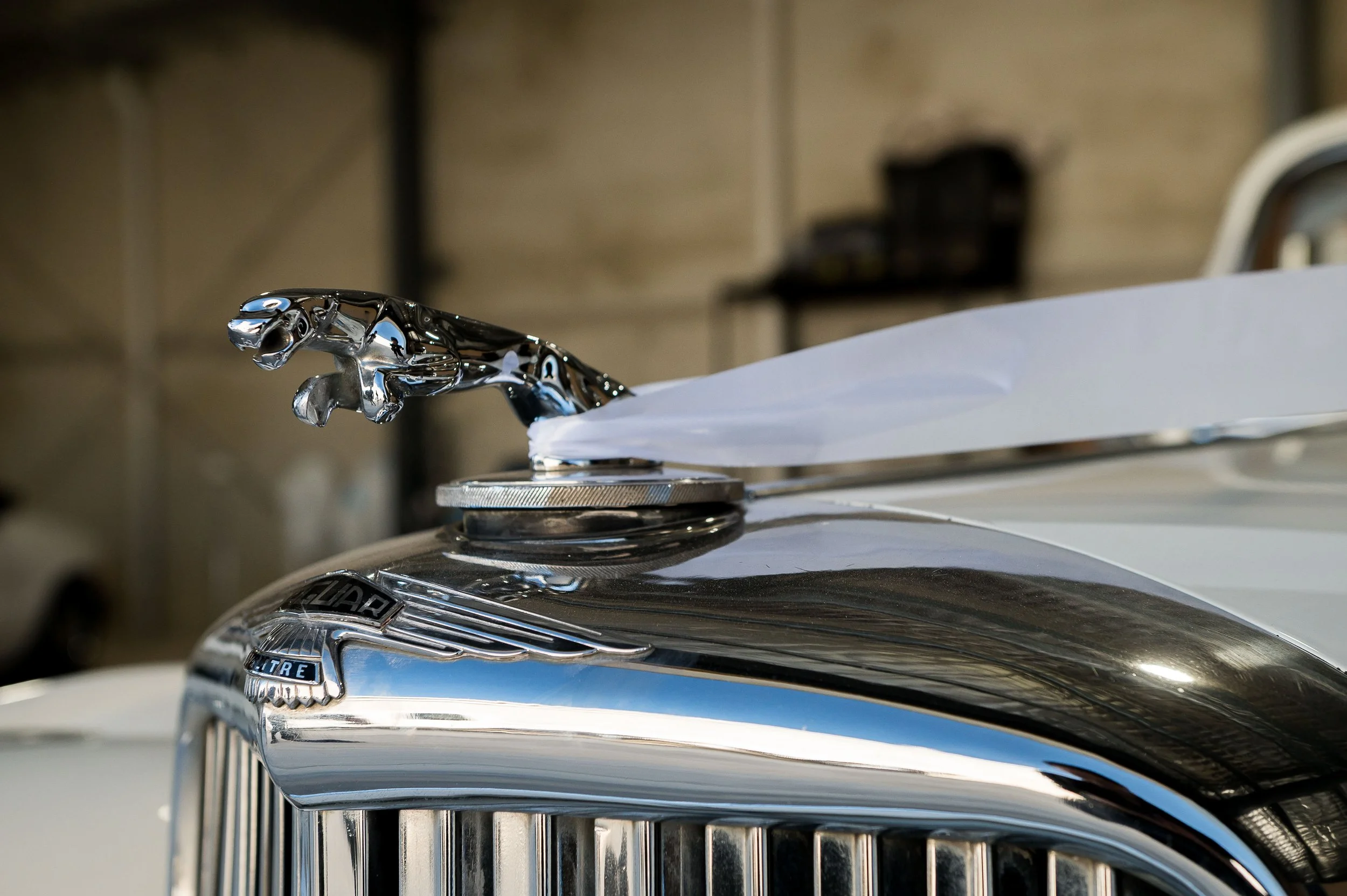 Florence_Automotive_2026-102.jpg