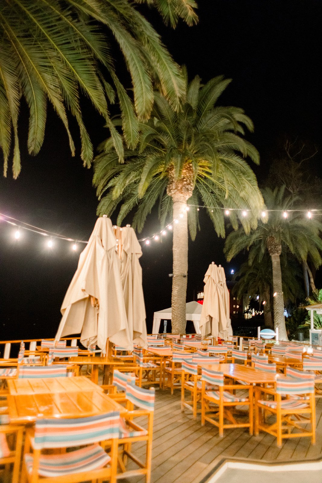 Reception30216.jpg
