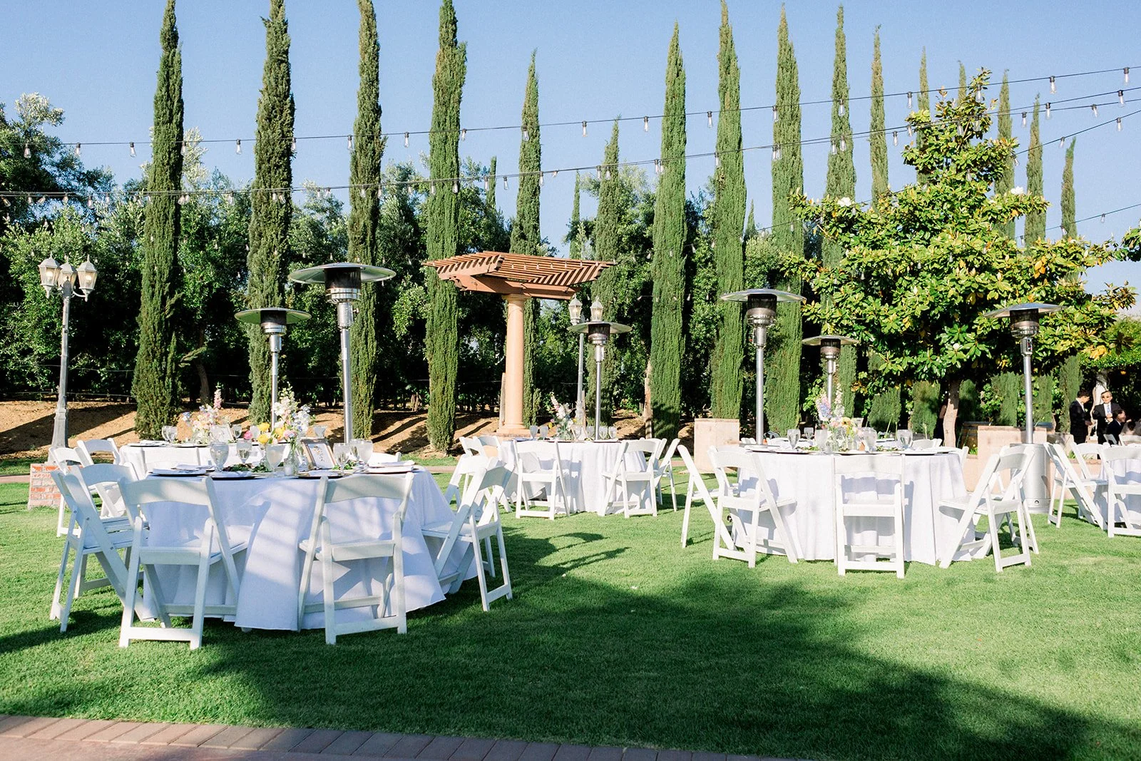 reception16482.jpg