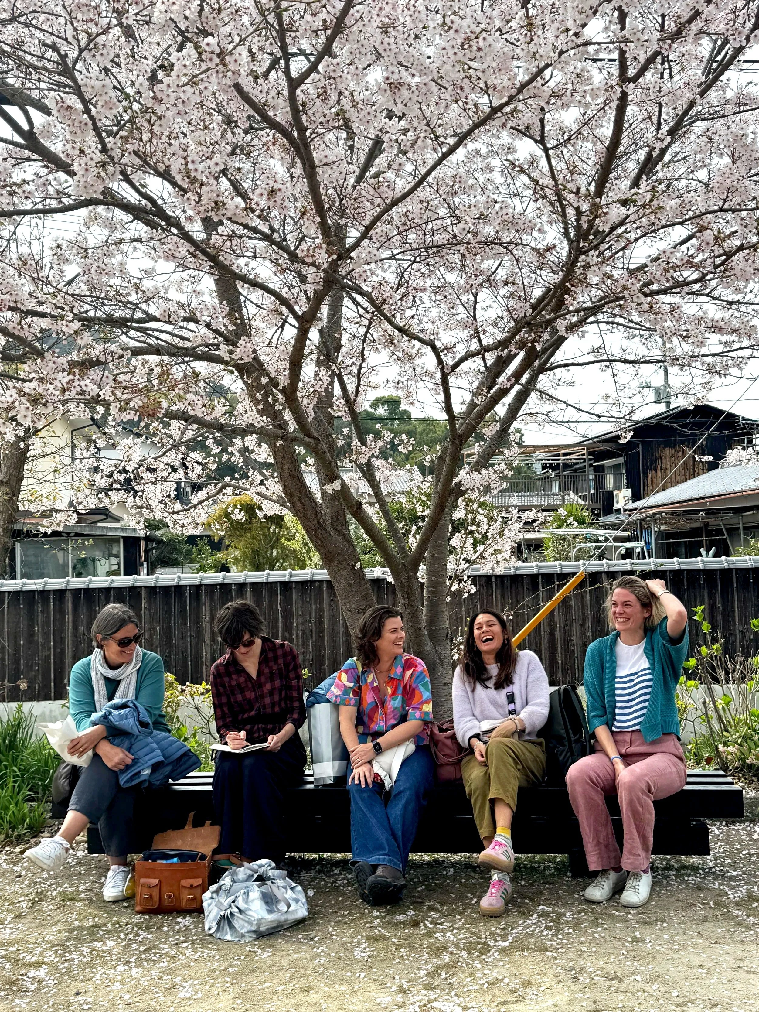 Participants sketching beneath cherry blossoms during a Draw Closer creative journey in Japan.