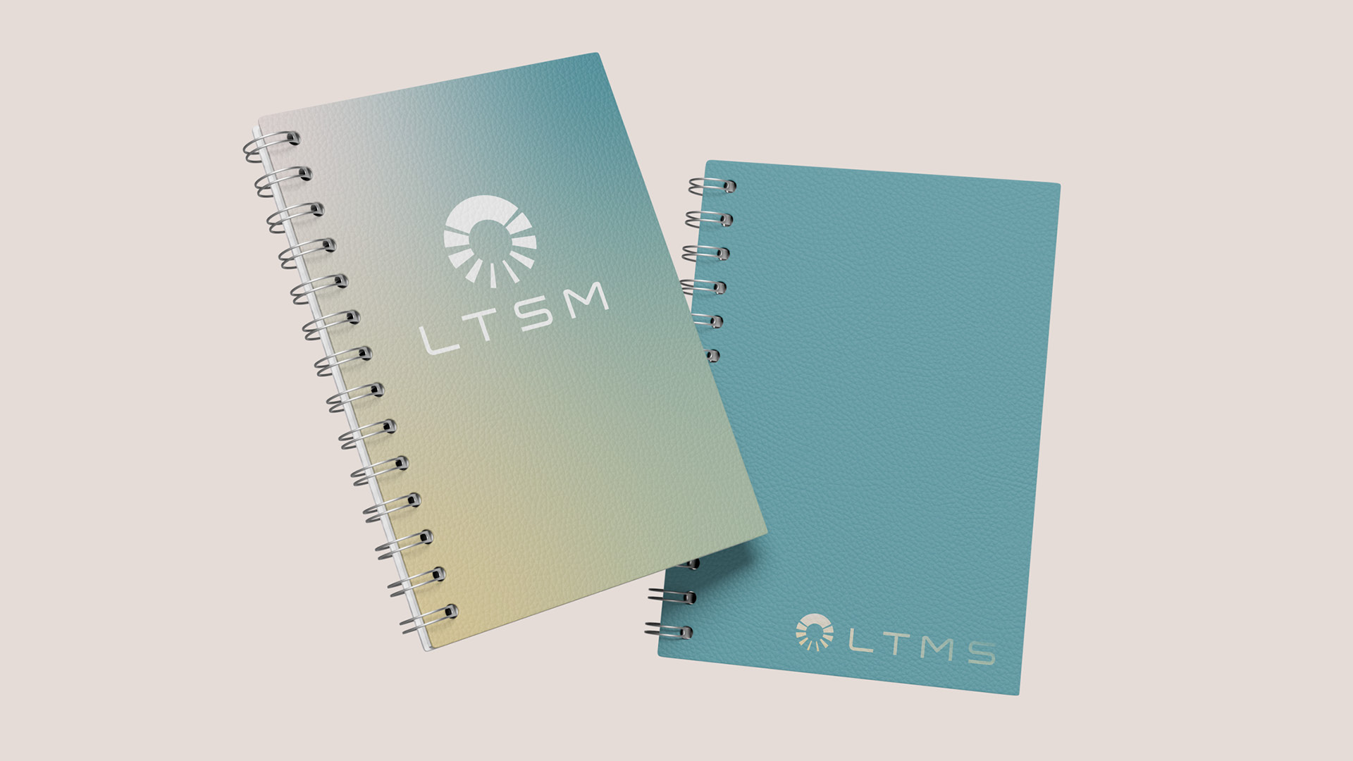 LTSM_Static-6.webp