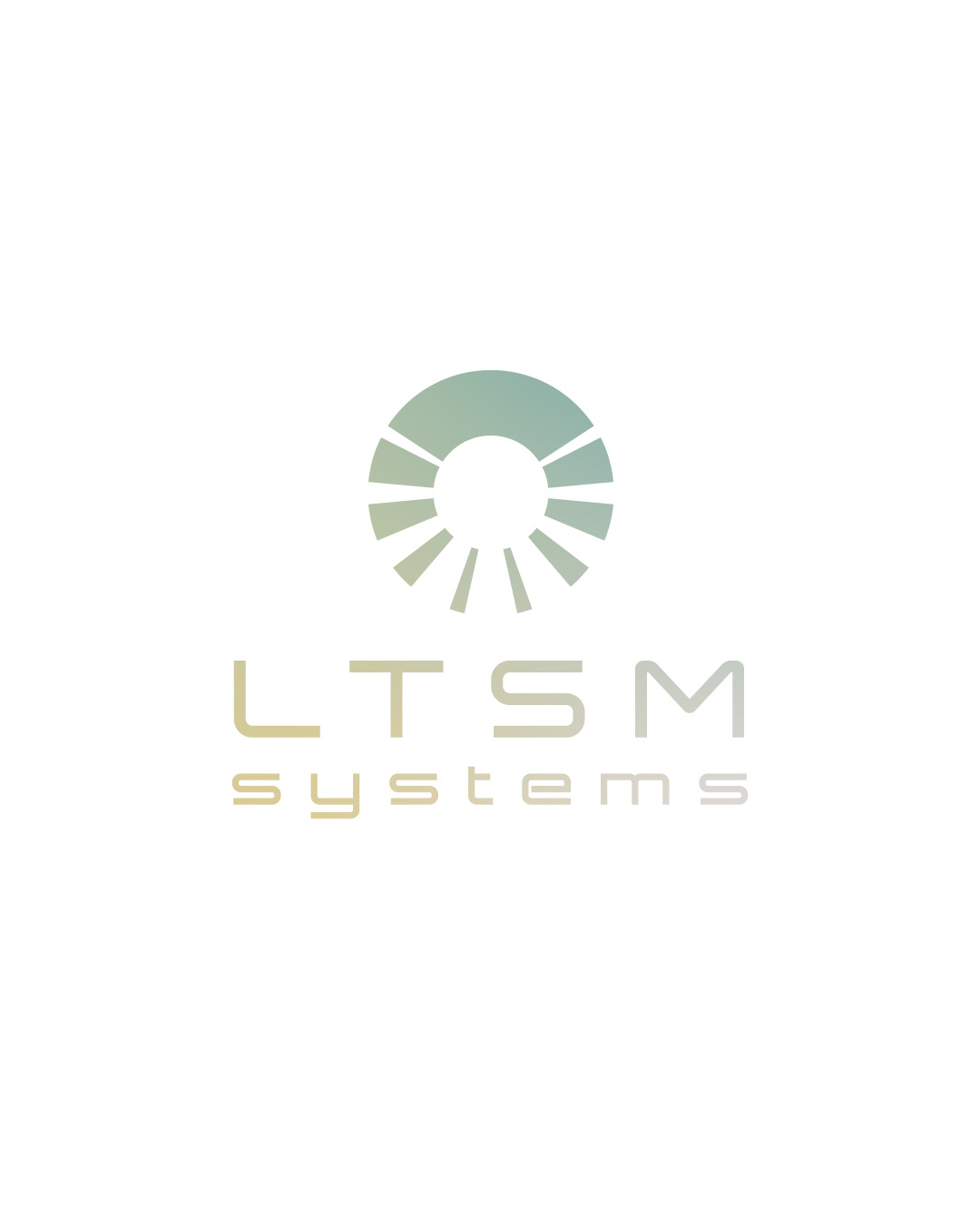 LTSM_Static-5.webp