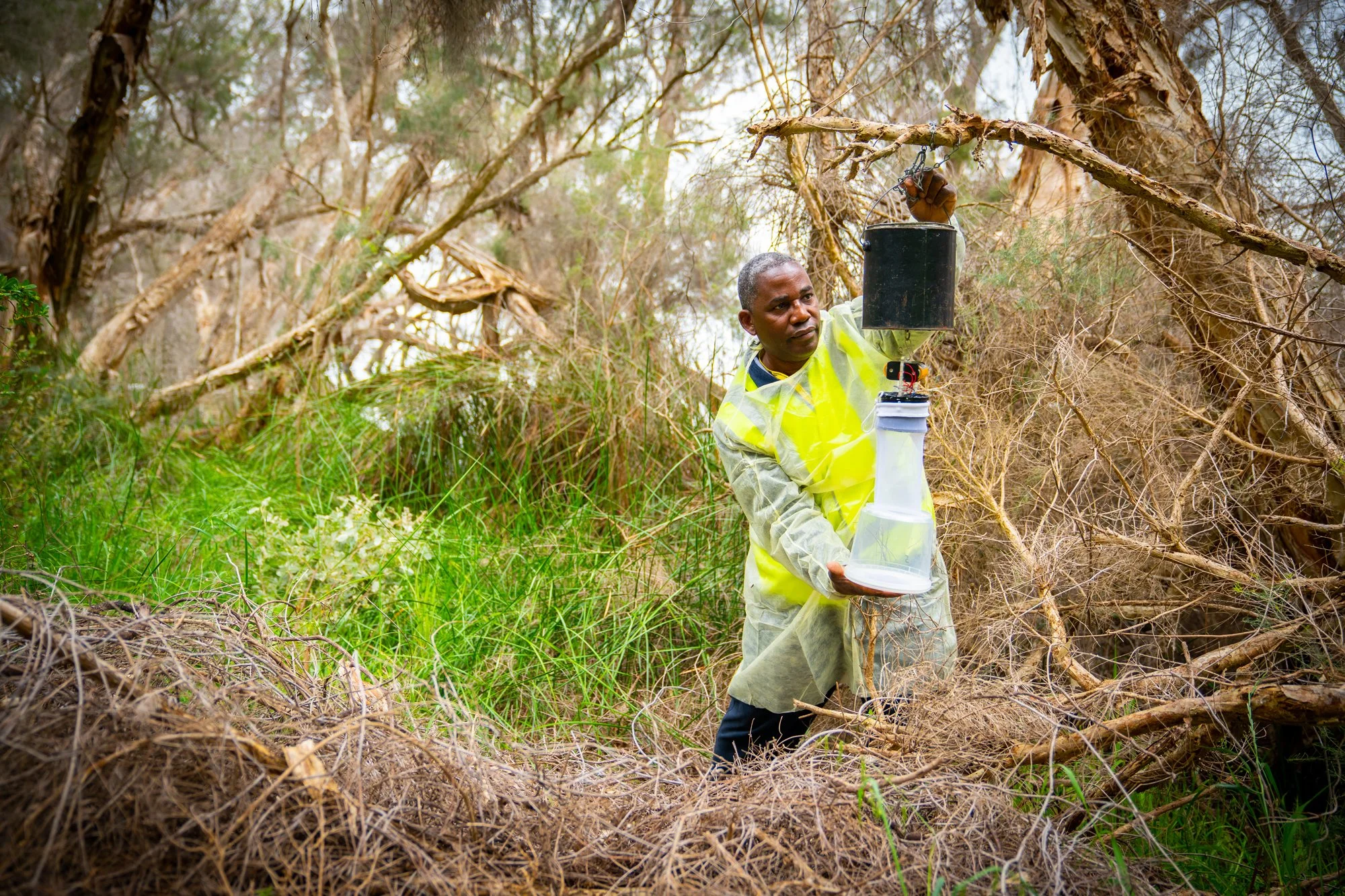 CS2104207_Environmental-Health-Students-Studying-Mosquitoes-08.jpg
