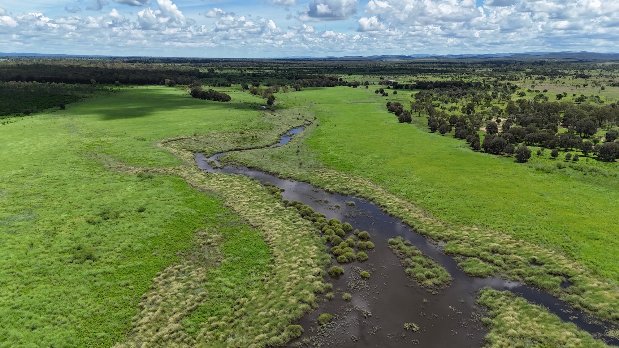 Aerial view of a lush green landscape with a winding river flowing through fields and scattered trees under a partly cloudy sky.