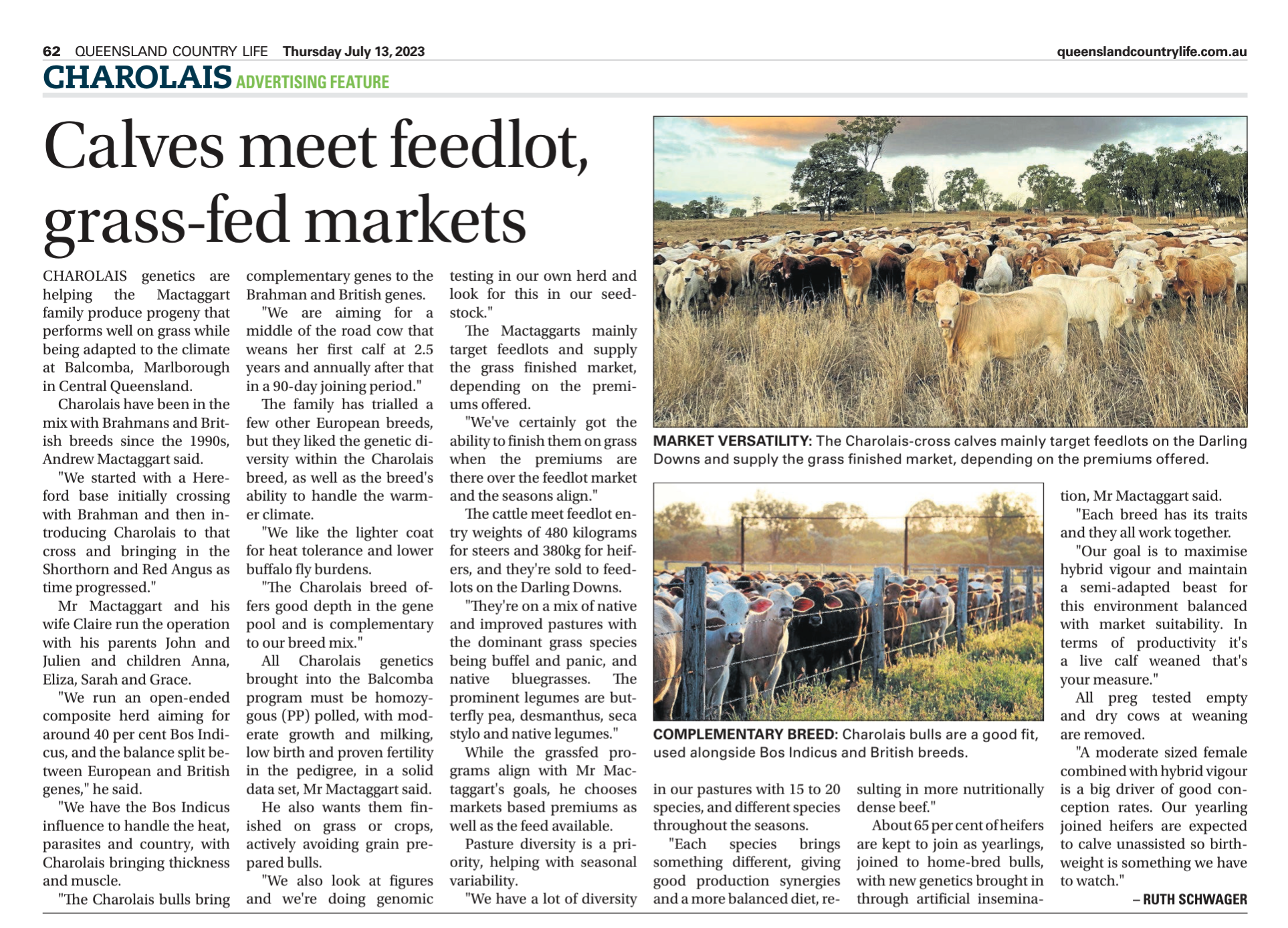 Calves meet feedlot, grass-fed markets