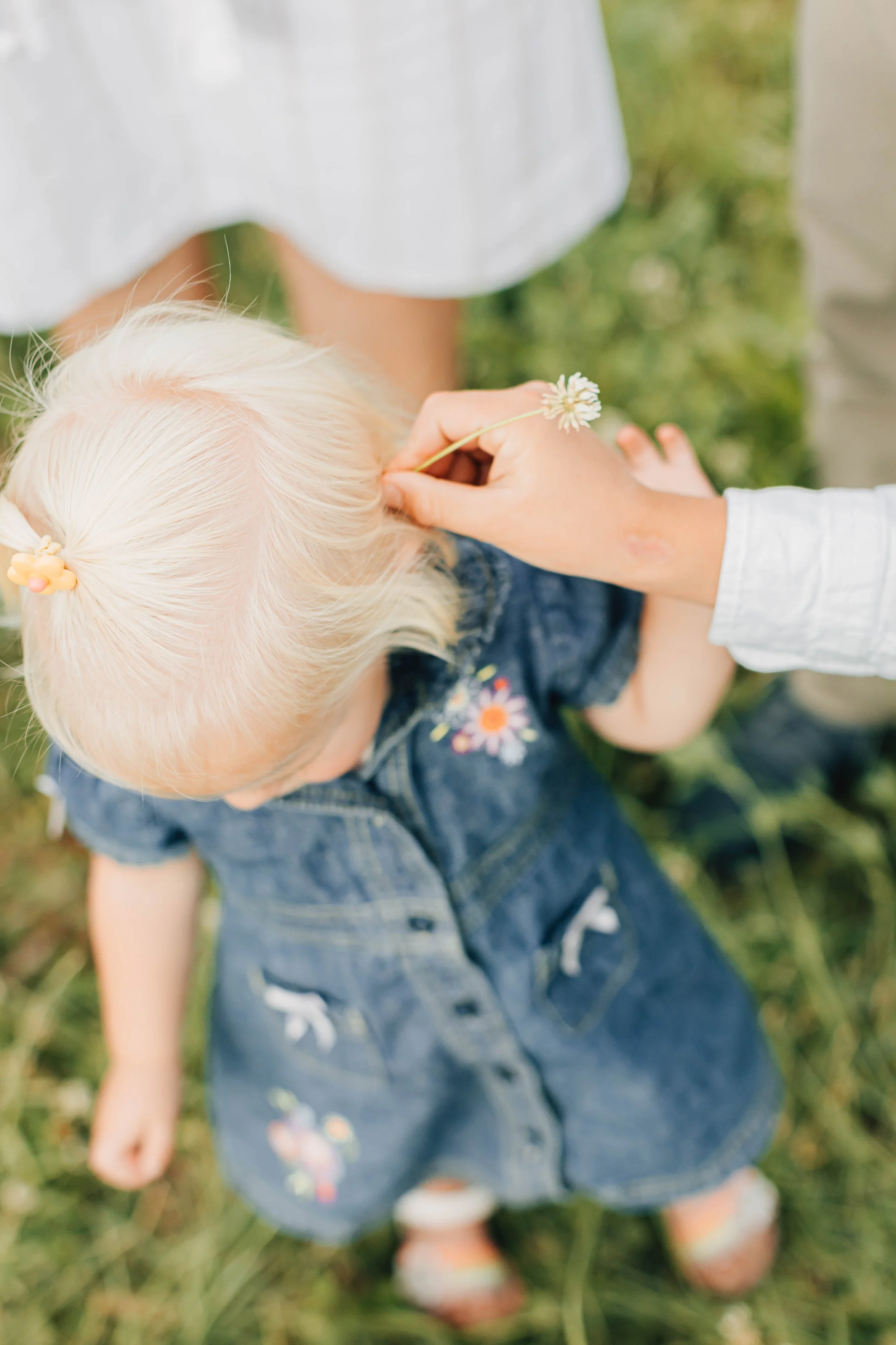 A young girl with platinum blonde hair wearing a denim dress with embroidered flowers, standing outdoors in grass. An adult is holding her hair and a flower, near her head.