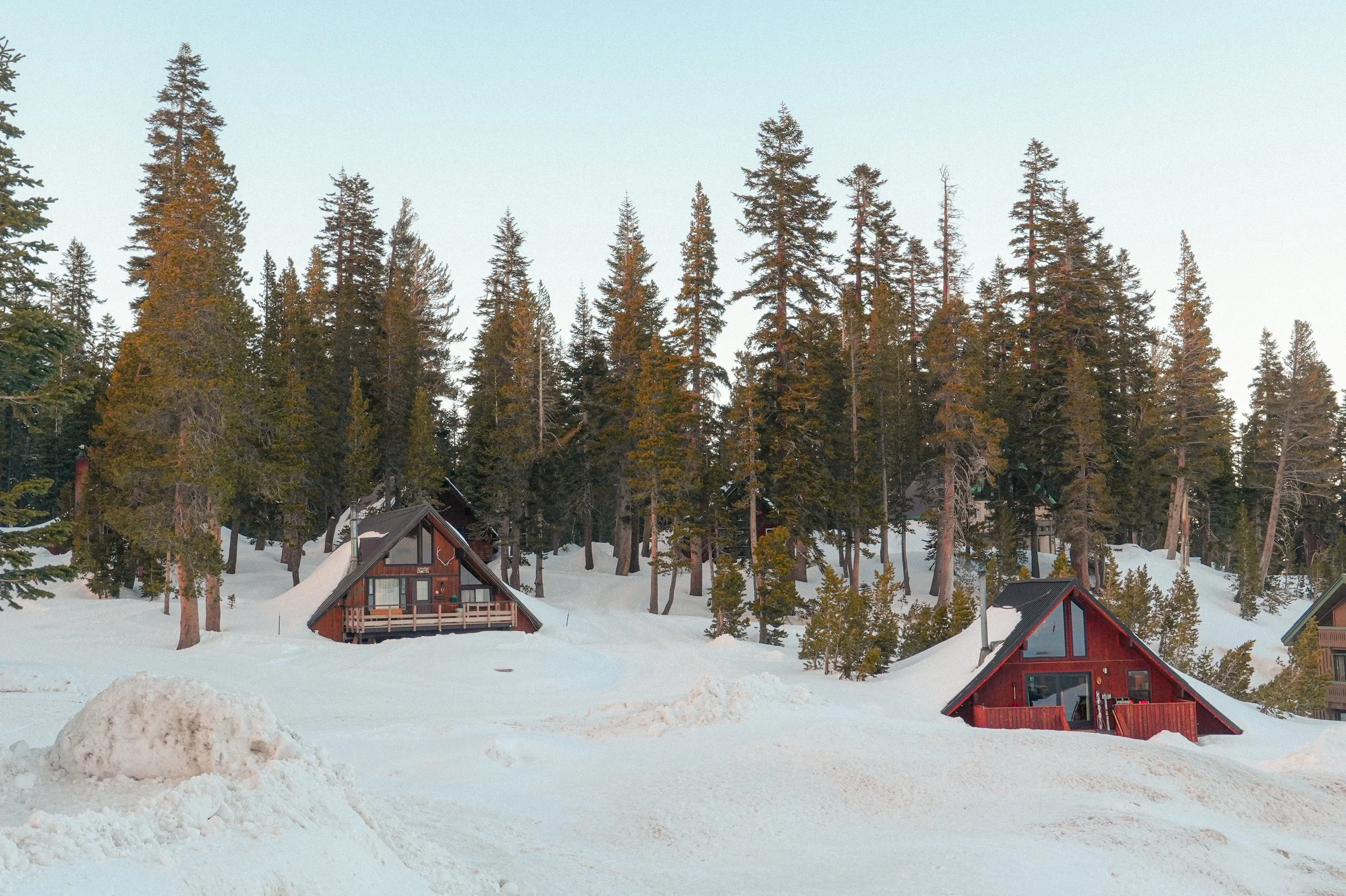 Snow-covered landscape with houses and tall evergreen trees in the background under a clear sky.