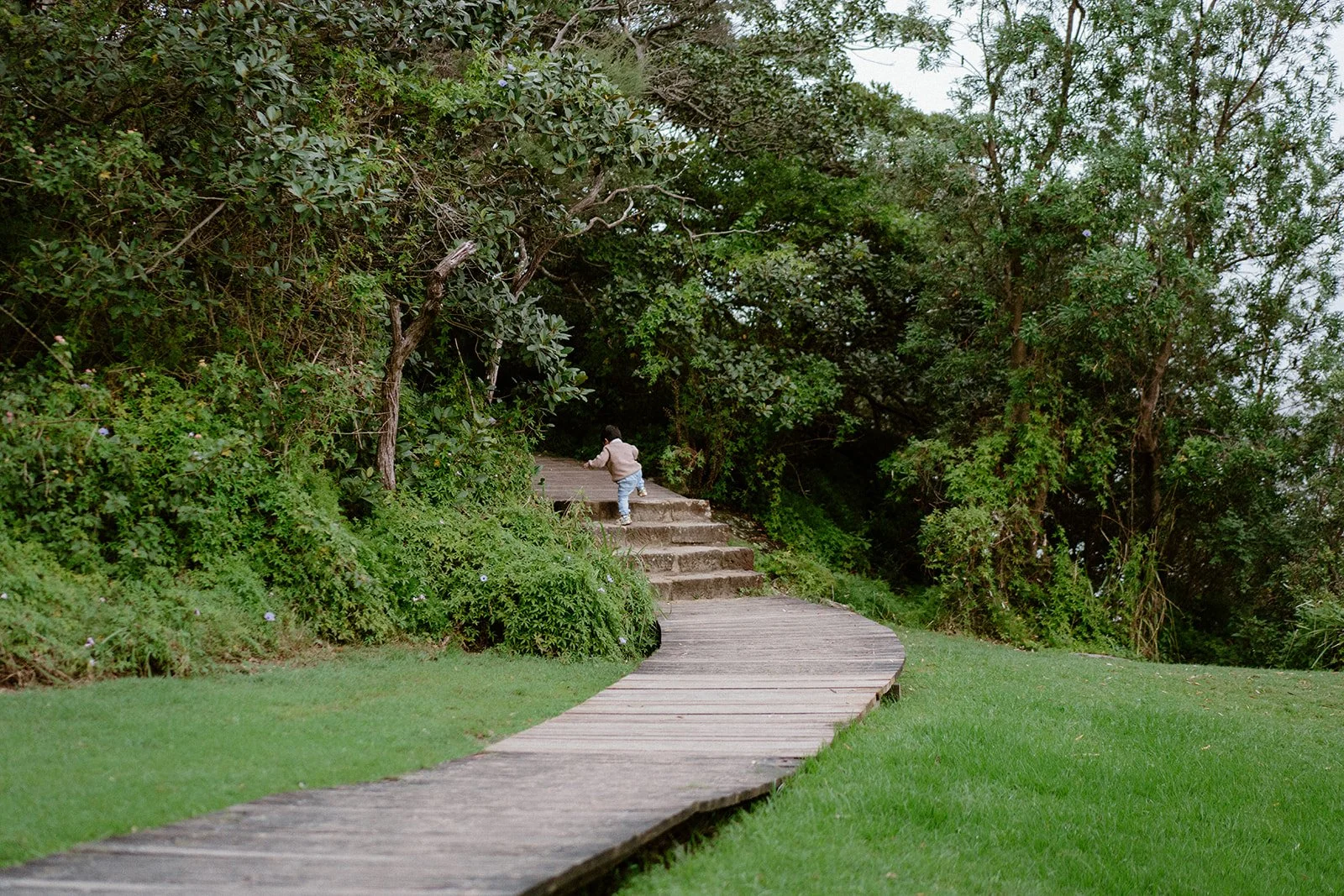 JL107225.jpg