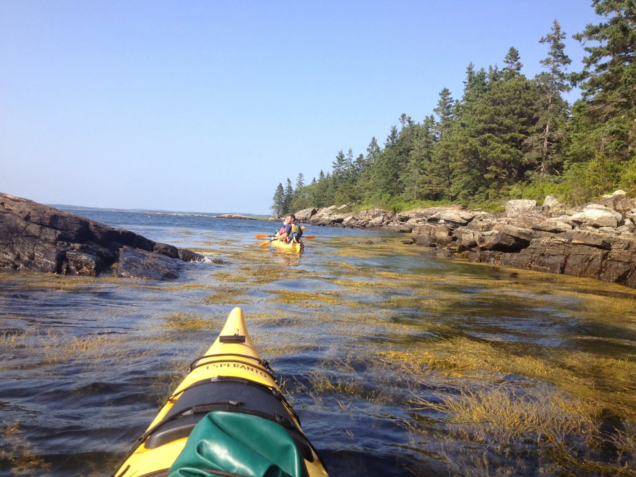 View from a kayak on a calm river with shoreline rocks and dense green trees, and two people kayaking in the distance.