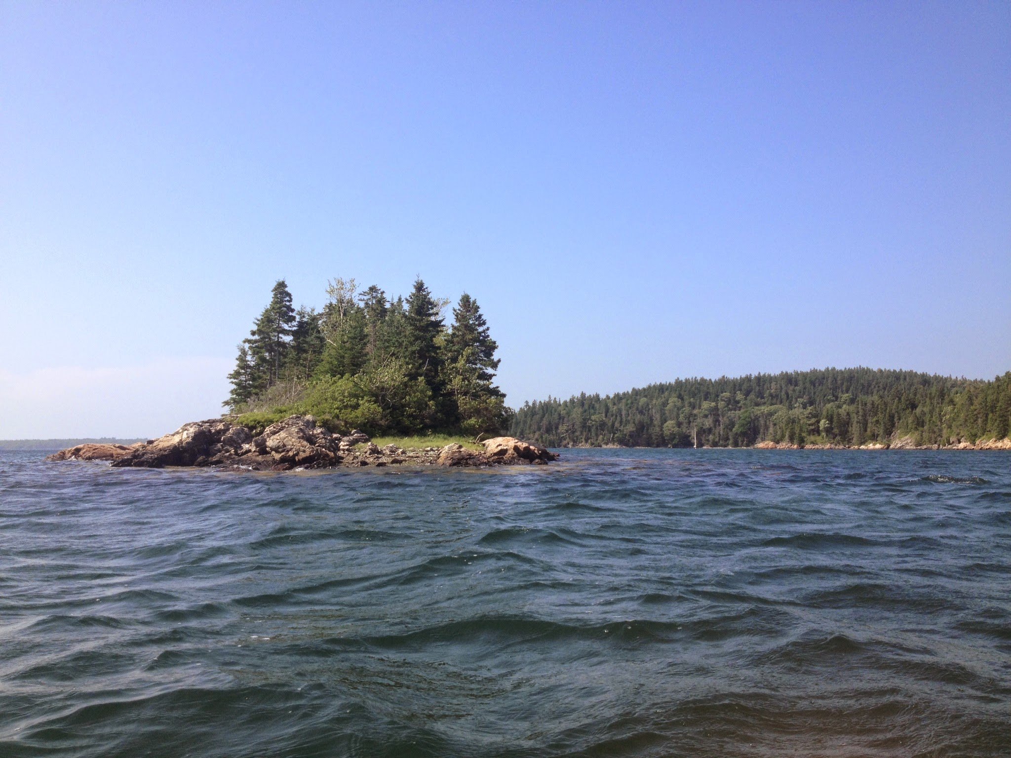 A view of a small island with trees and large rocks, seen from a body of water under a clear blue sky.
