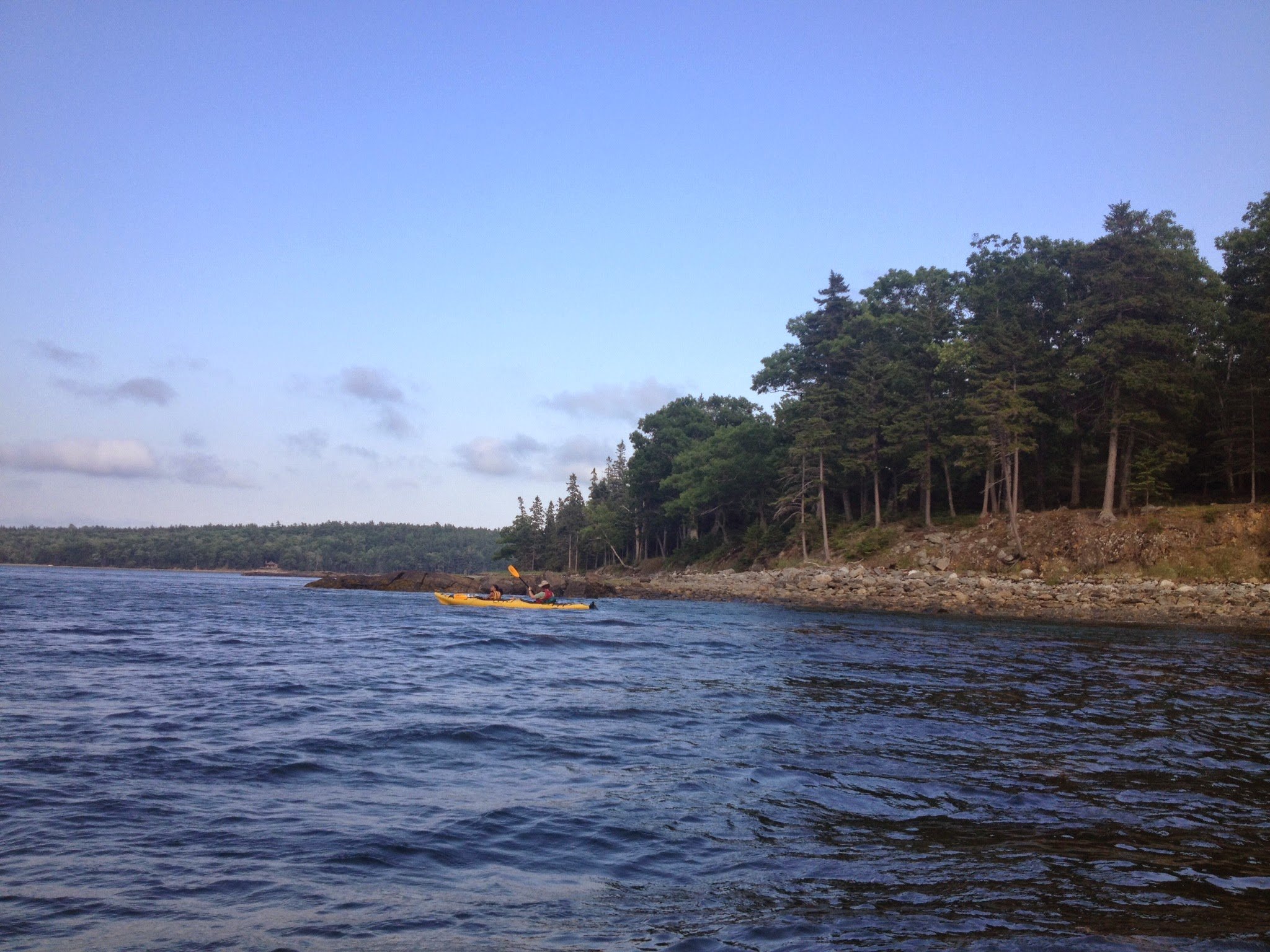 Two people kayaking on a large body of water near a forested shoreline, with trees and cloudy sky in the background.