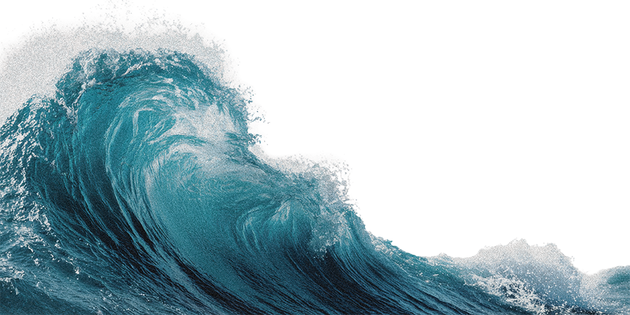 A large ocean wave with white foam at the crest.