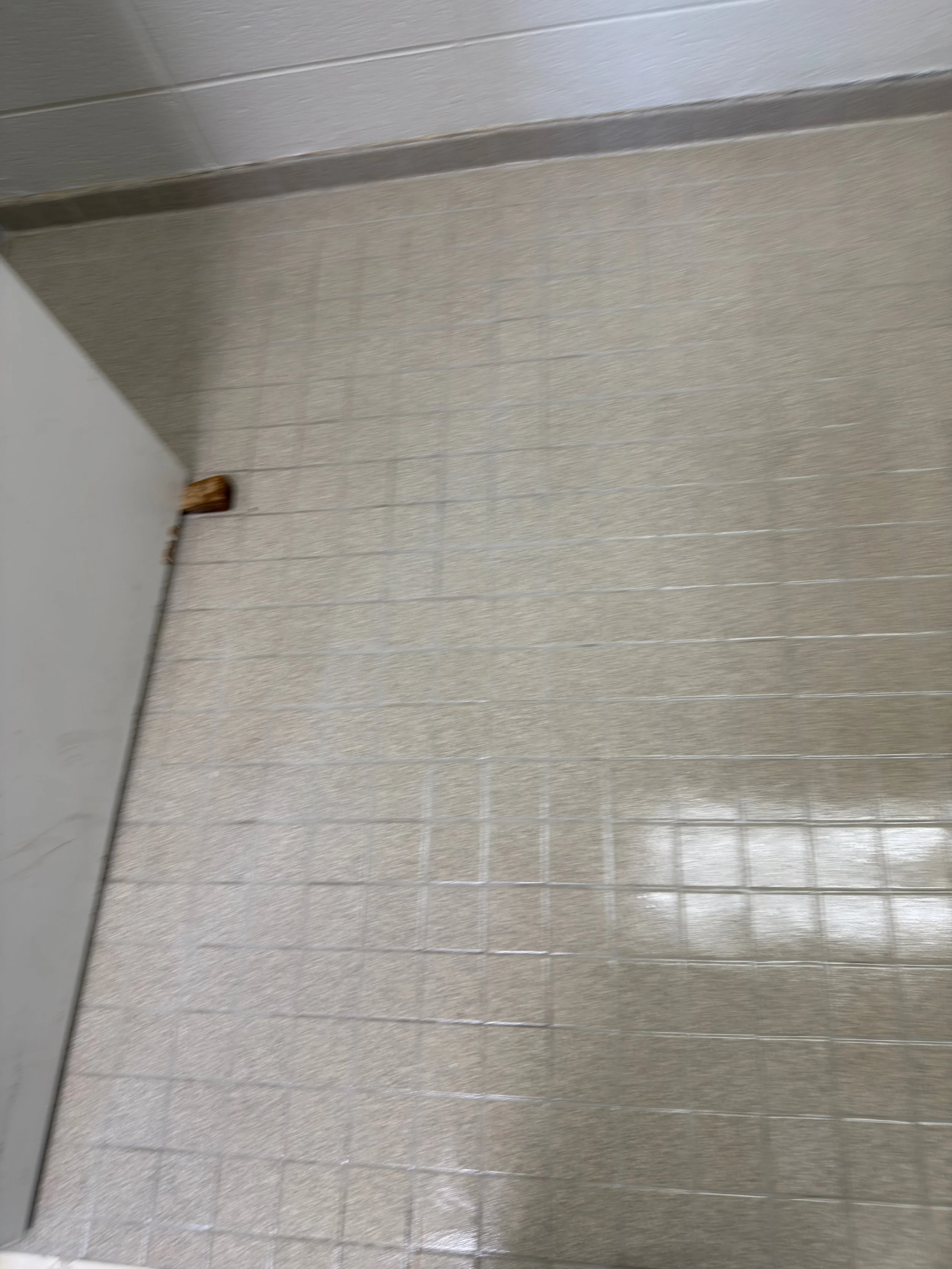 Before view of heavily soiled grout lines and stained ceramic tile flooring in an industrial restroom facility at Carolina Power in Burlington, NC.⁠