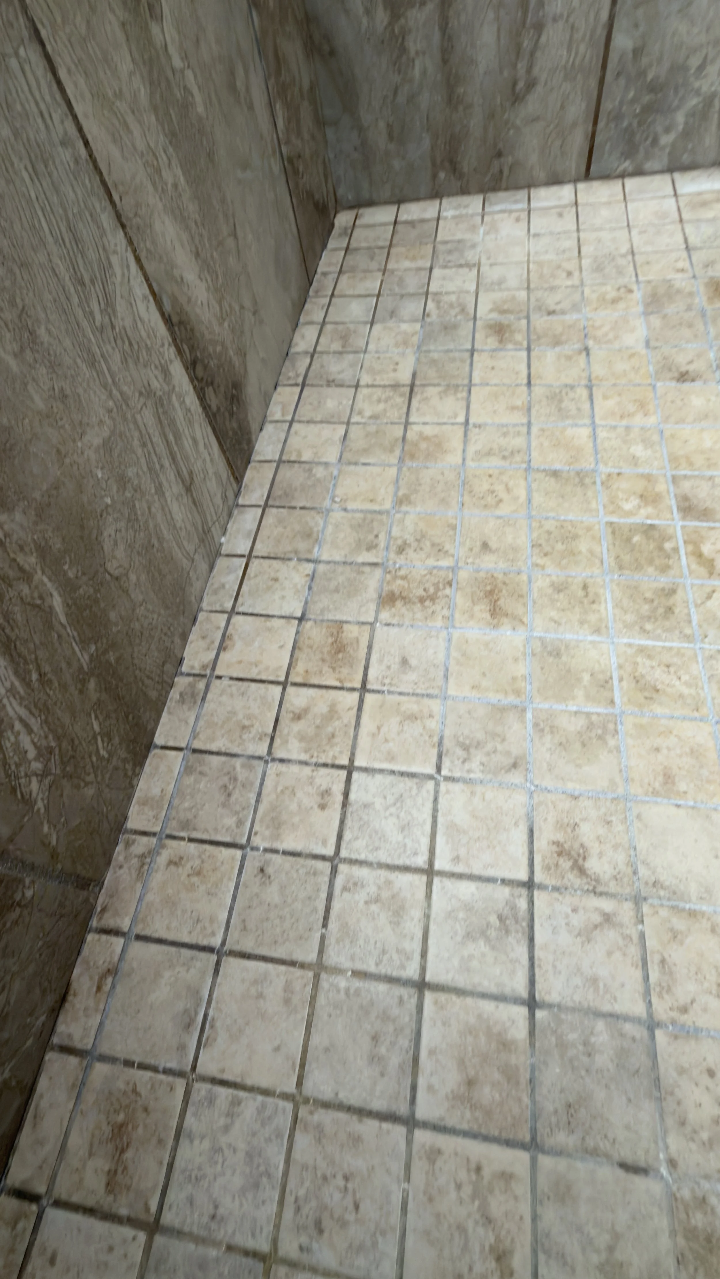 An in-progress view of a honed travertine shower floor, showcasing a distinct clean line cutting through heavy soap scum during active restoration by TerraPro.⁠