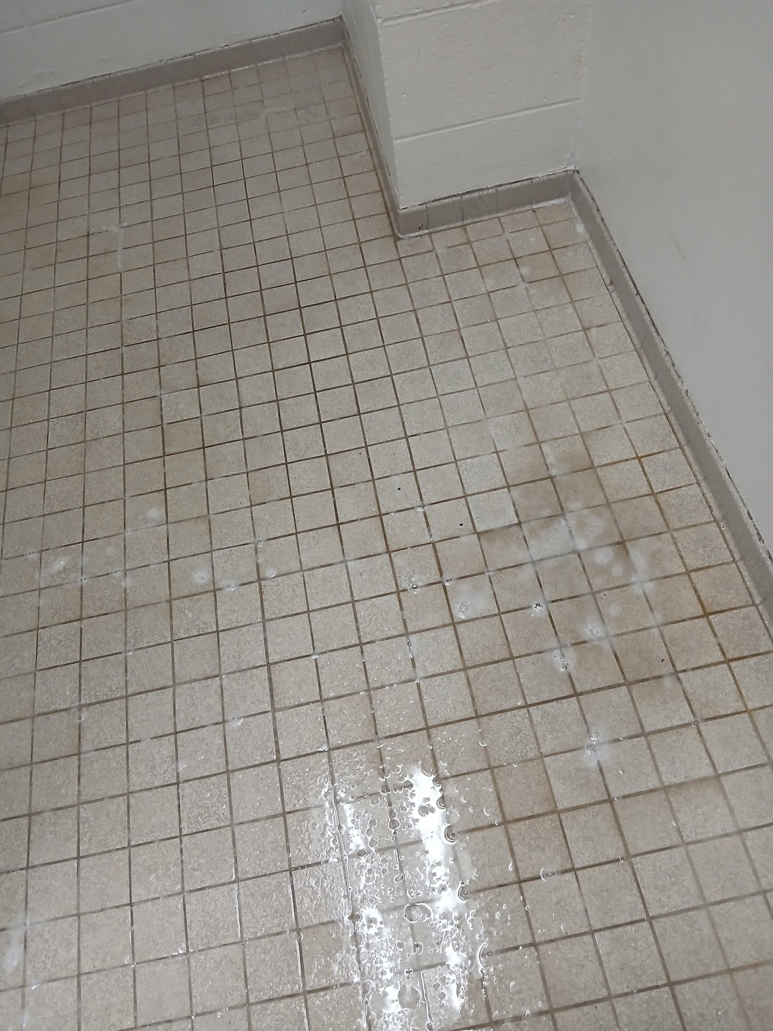 Before view of heavily soiled grout lines and stained ceramic tile flooring in an industrial restroom facility at Carolina Power in Burlington, NC.⁠