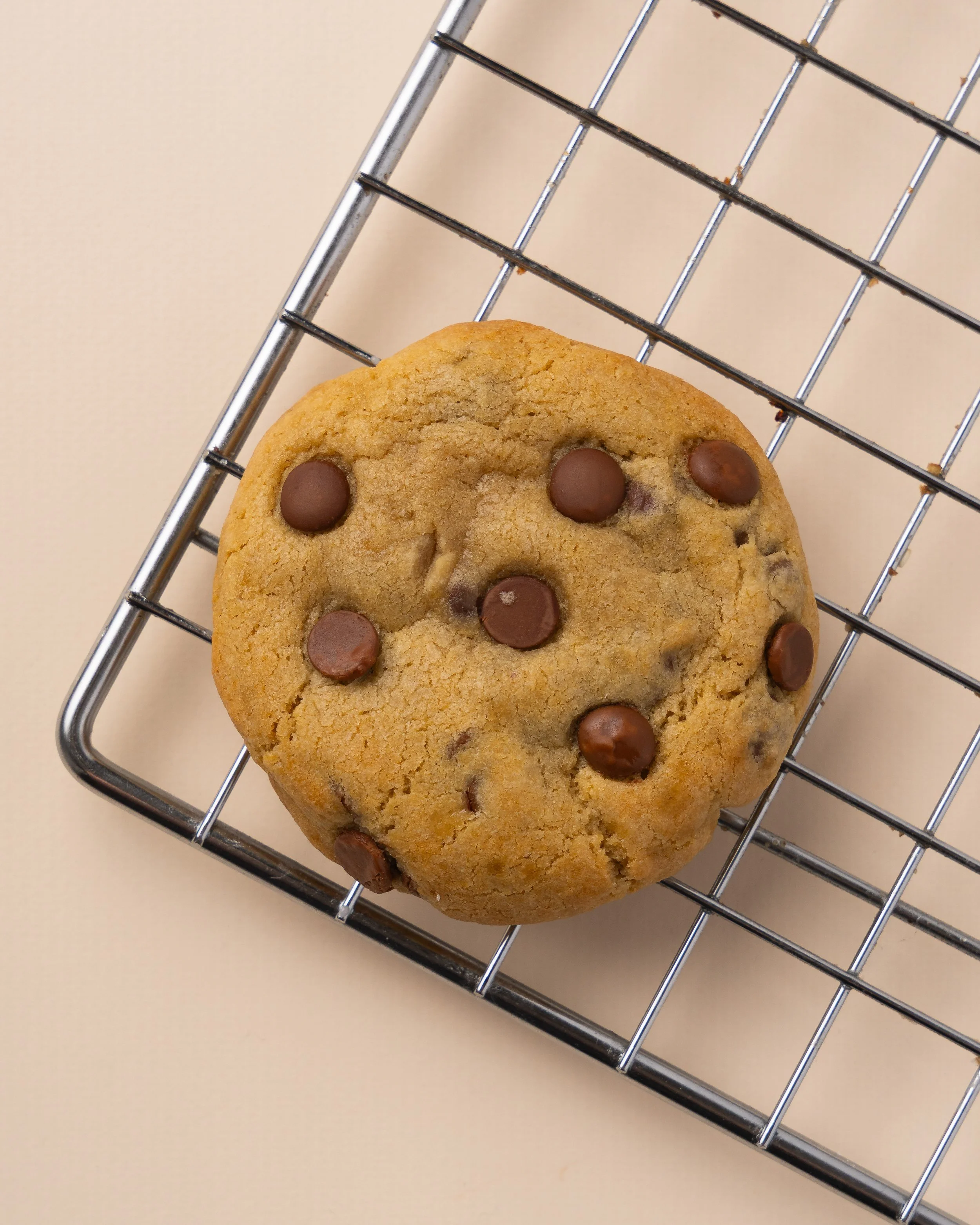 Chocolate Chip