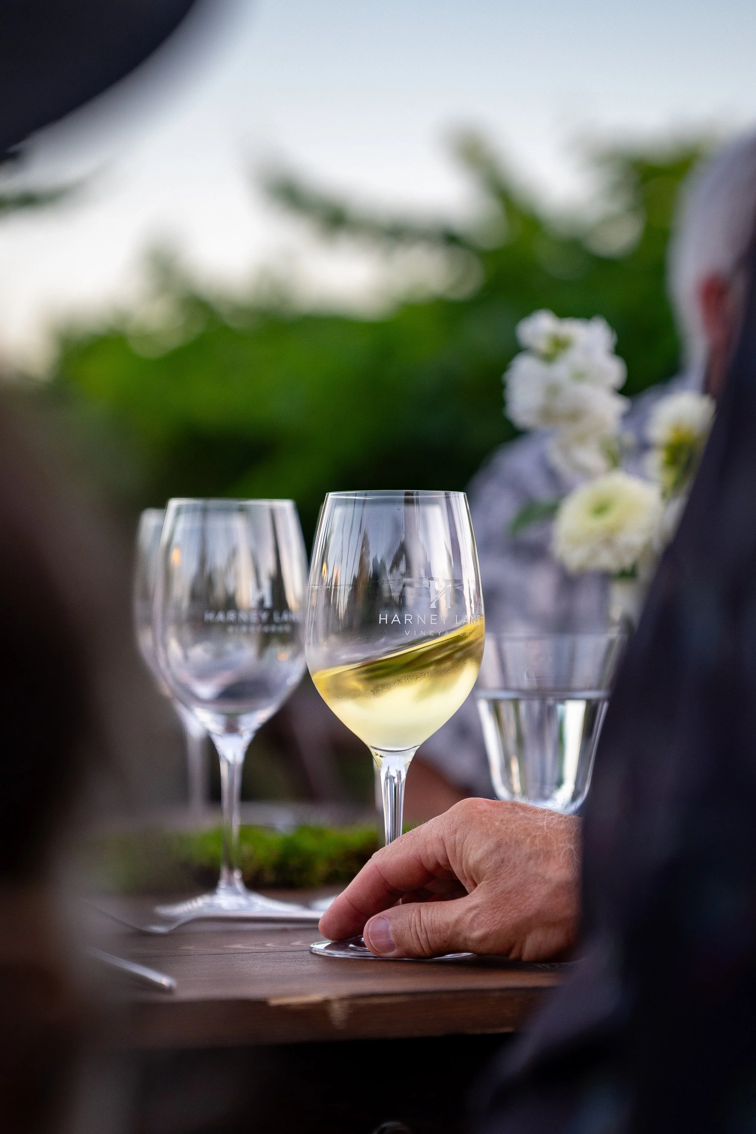 Harney Lane Vineyard Dinner 2026-90.jpg