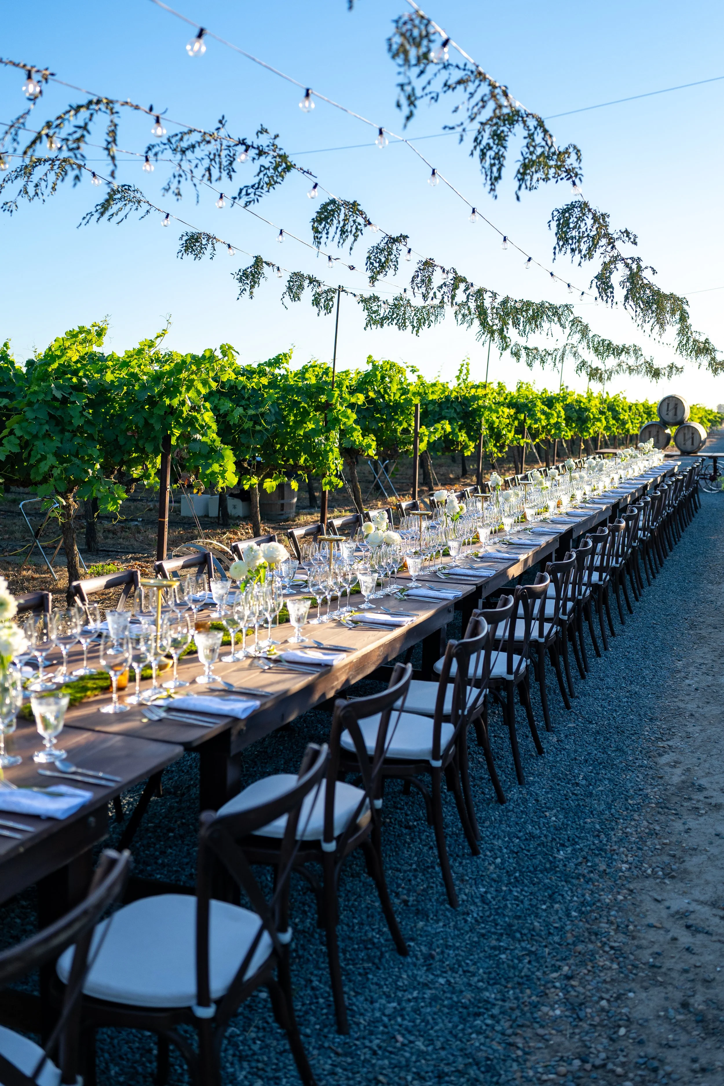 Harney Lane Vineyard Dinner 2026-12.jpg