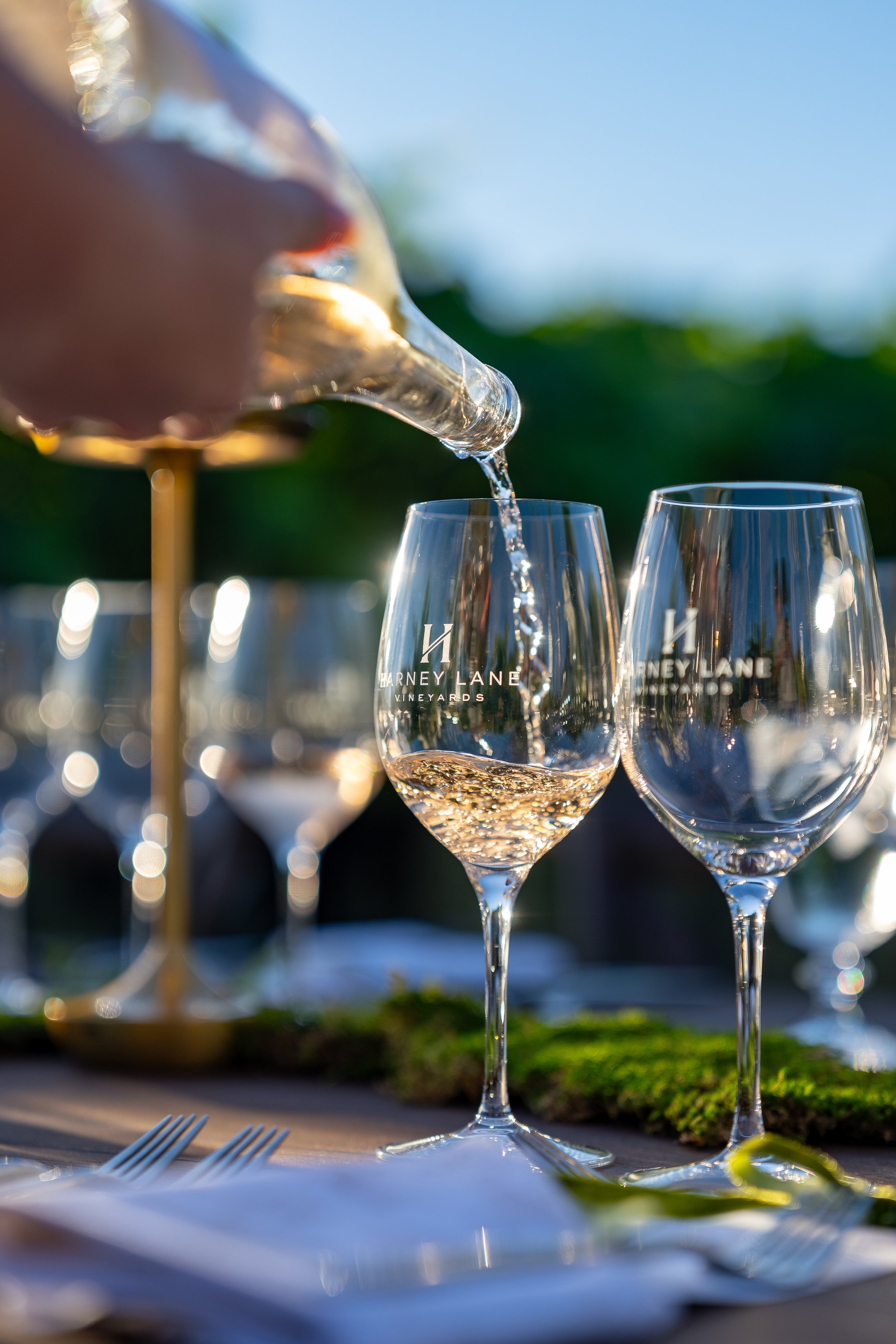 Harney Lane Vineyard Dinner 2026-20.jpg
