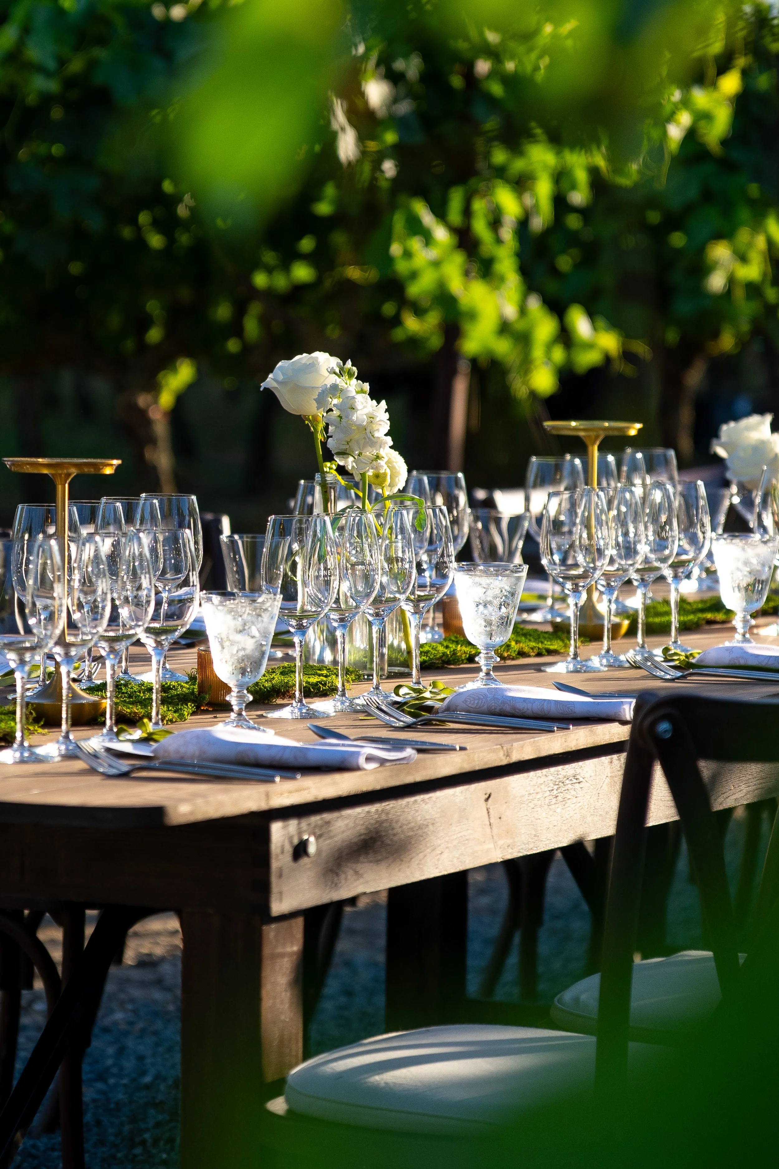 Harney Lane Vineyard Dinner 2026-8.jpg