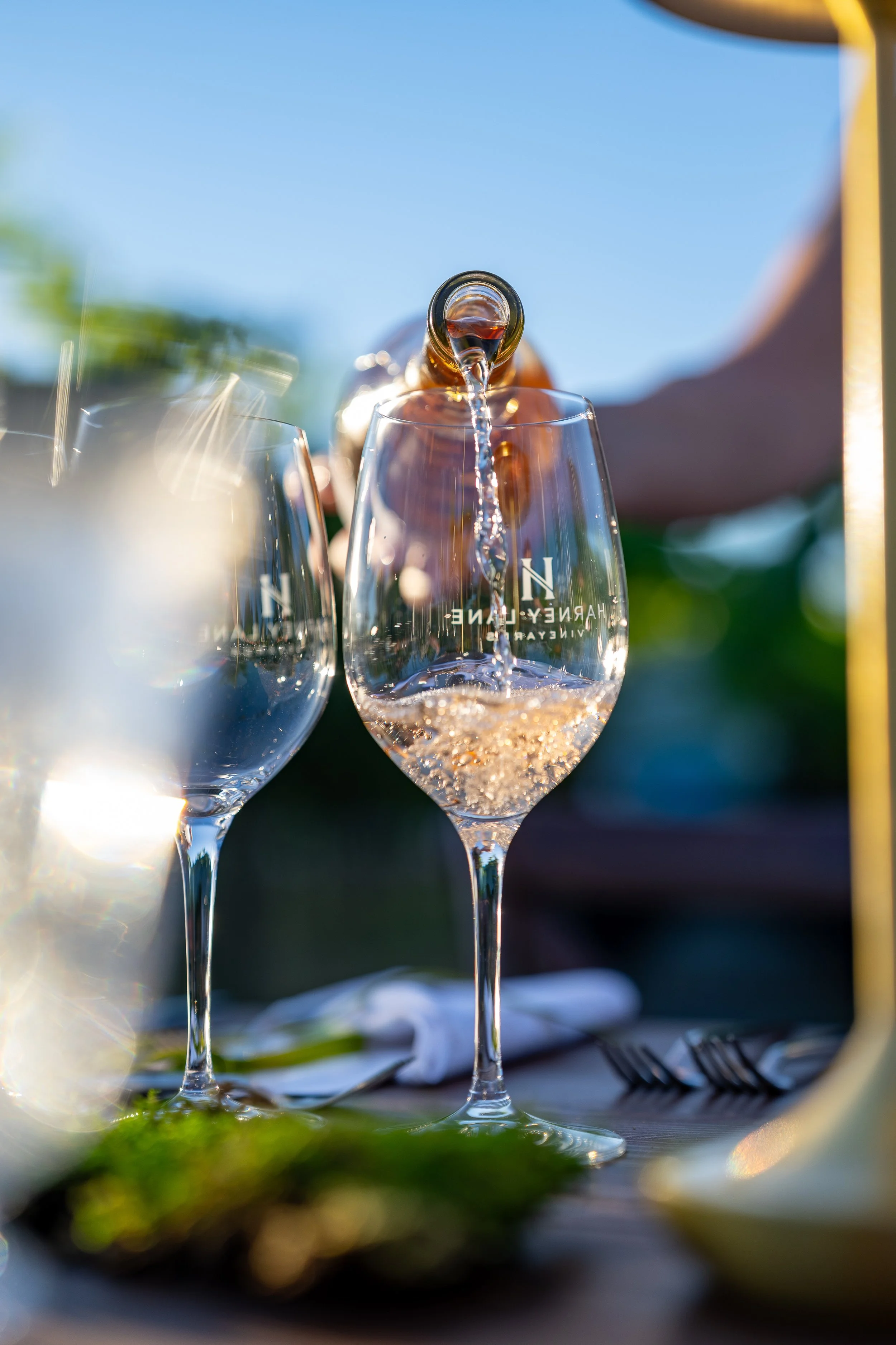 Harney Lane Vineyard Dinner 2026-19.jpg