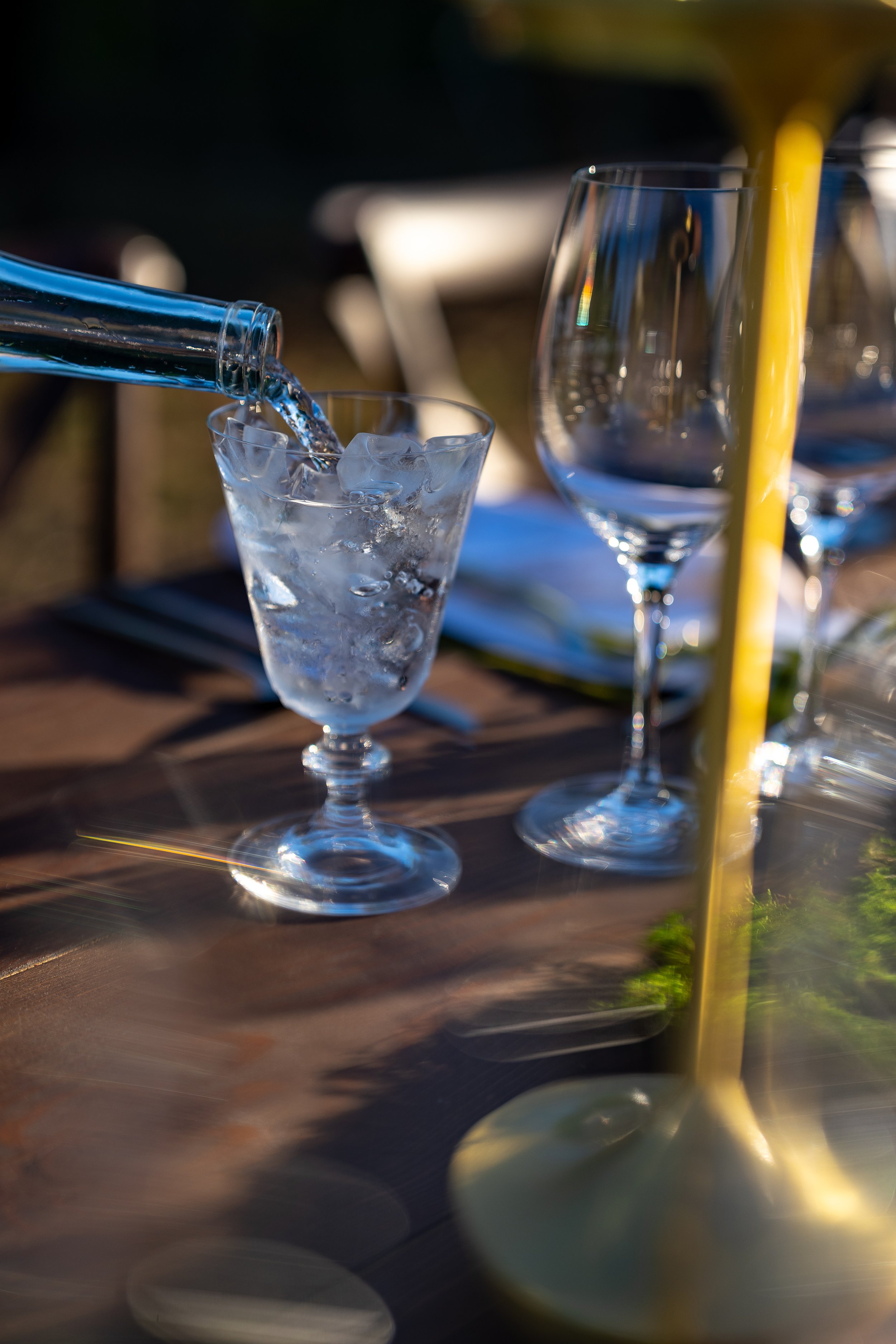 Harney Lane Vineyard Dinner 2026-11.jpg
