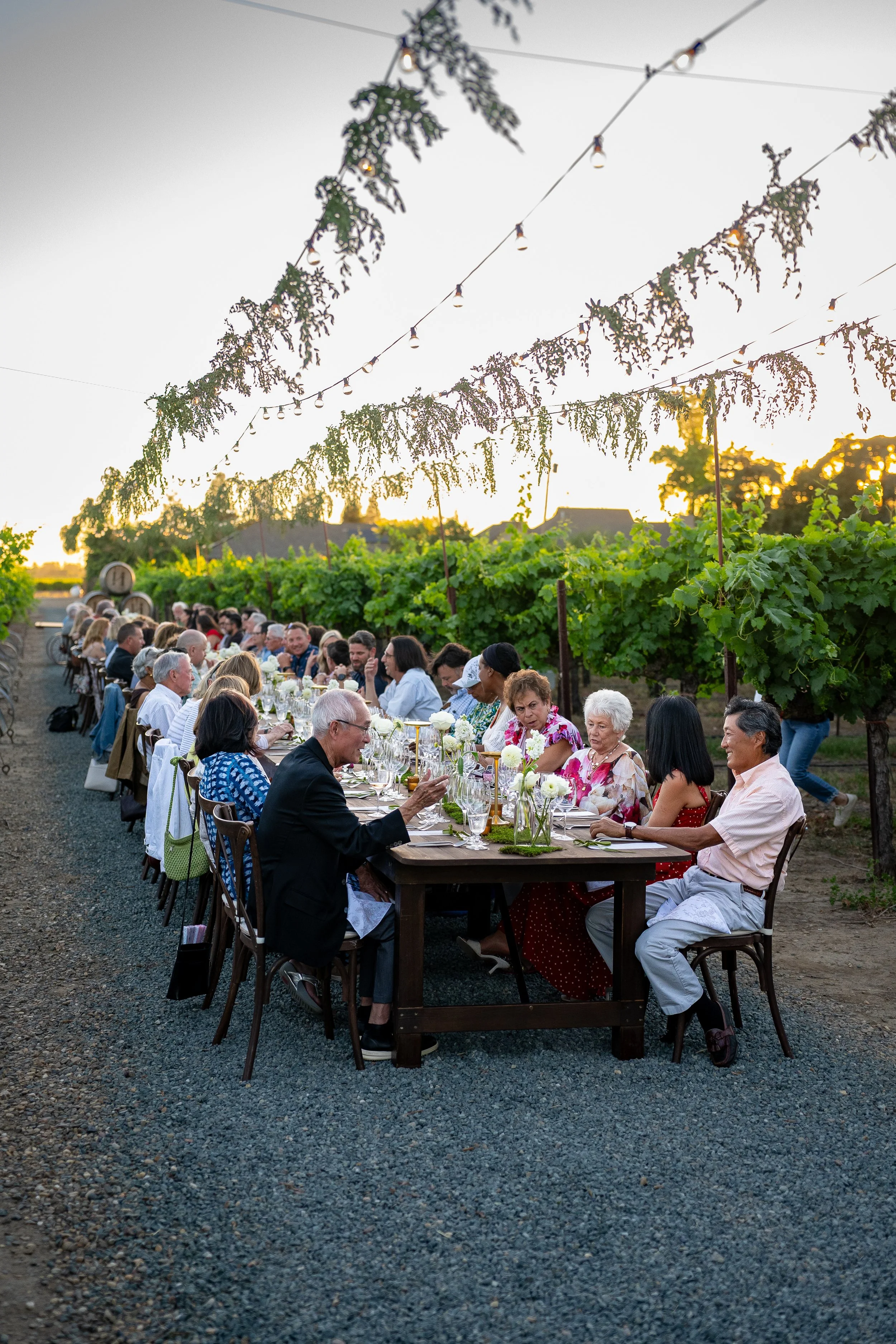 Harney Lane Vineyard Dinner 2026-81.jpg